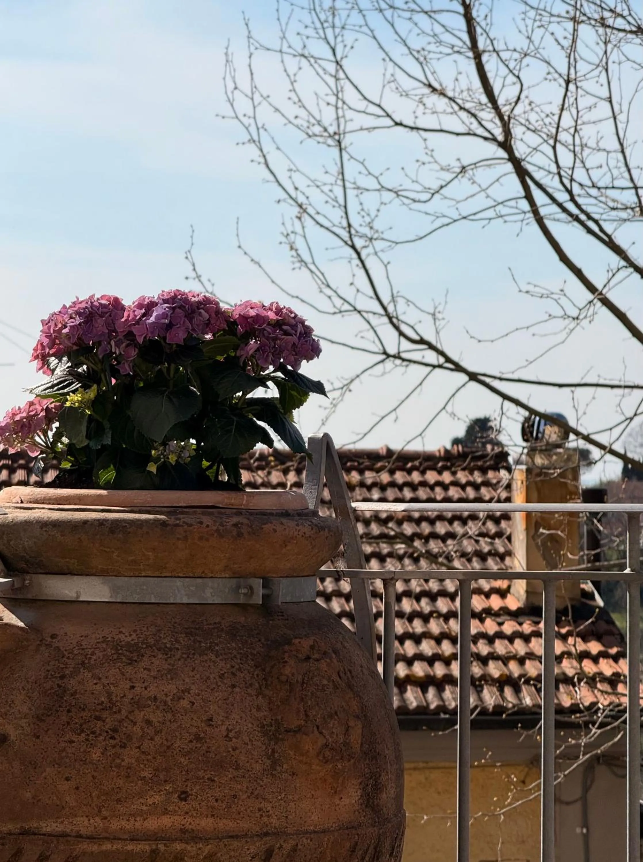 View (from property/room) in Residence Montefiore