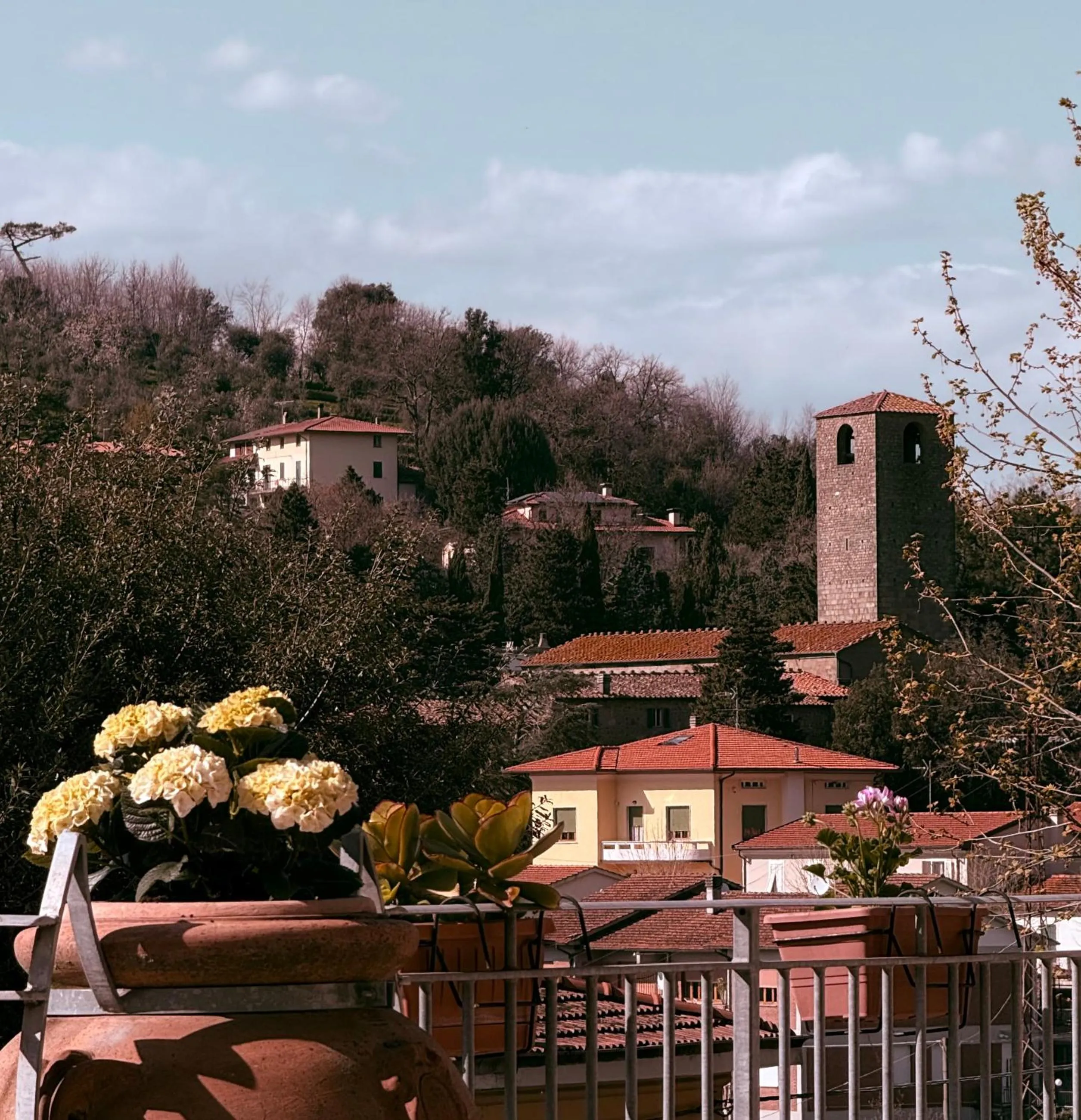 Natural landscape in Residence Montefiore