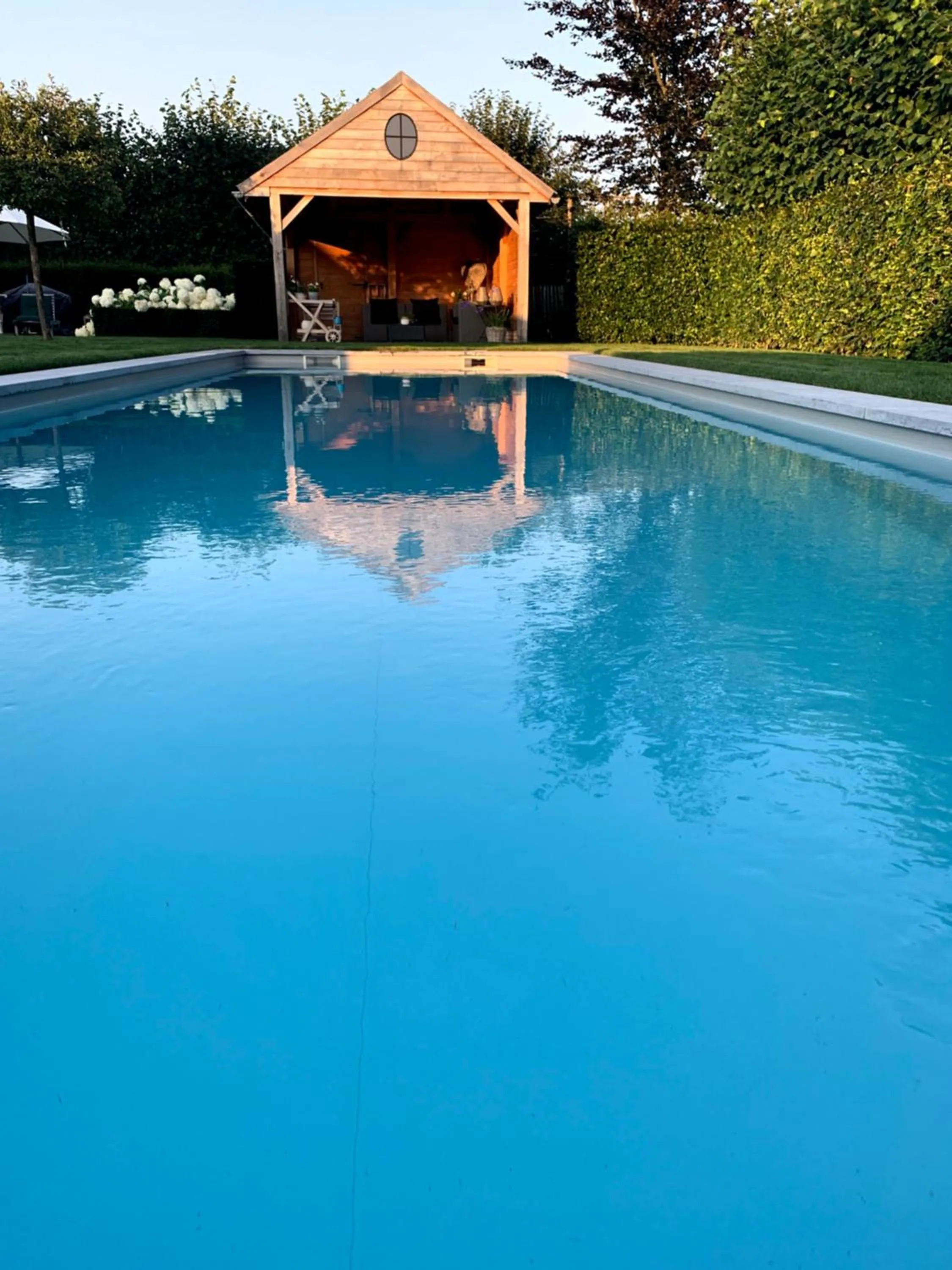 Swimming pool in B&B 't klein GELUK