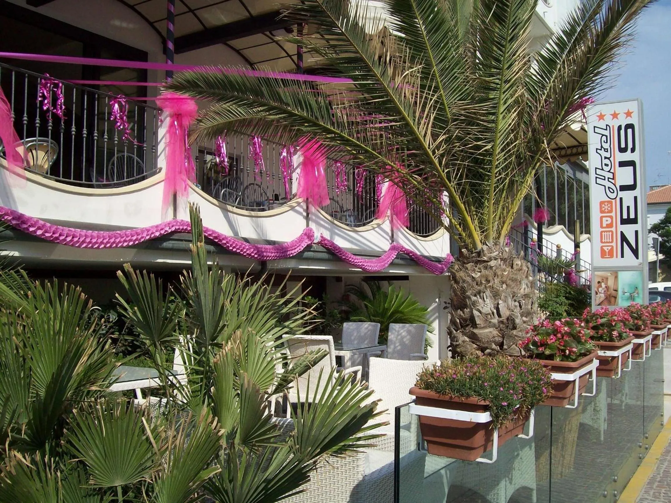 Garden in Hotel Zeus