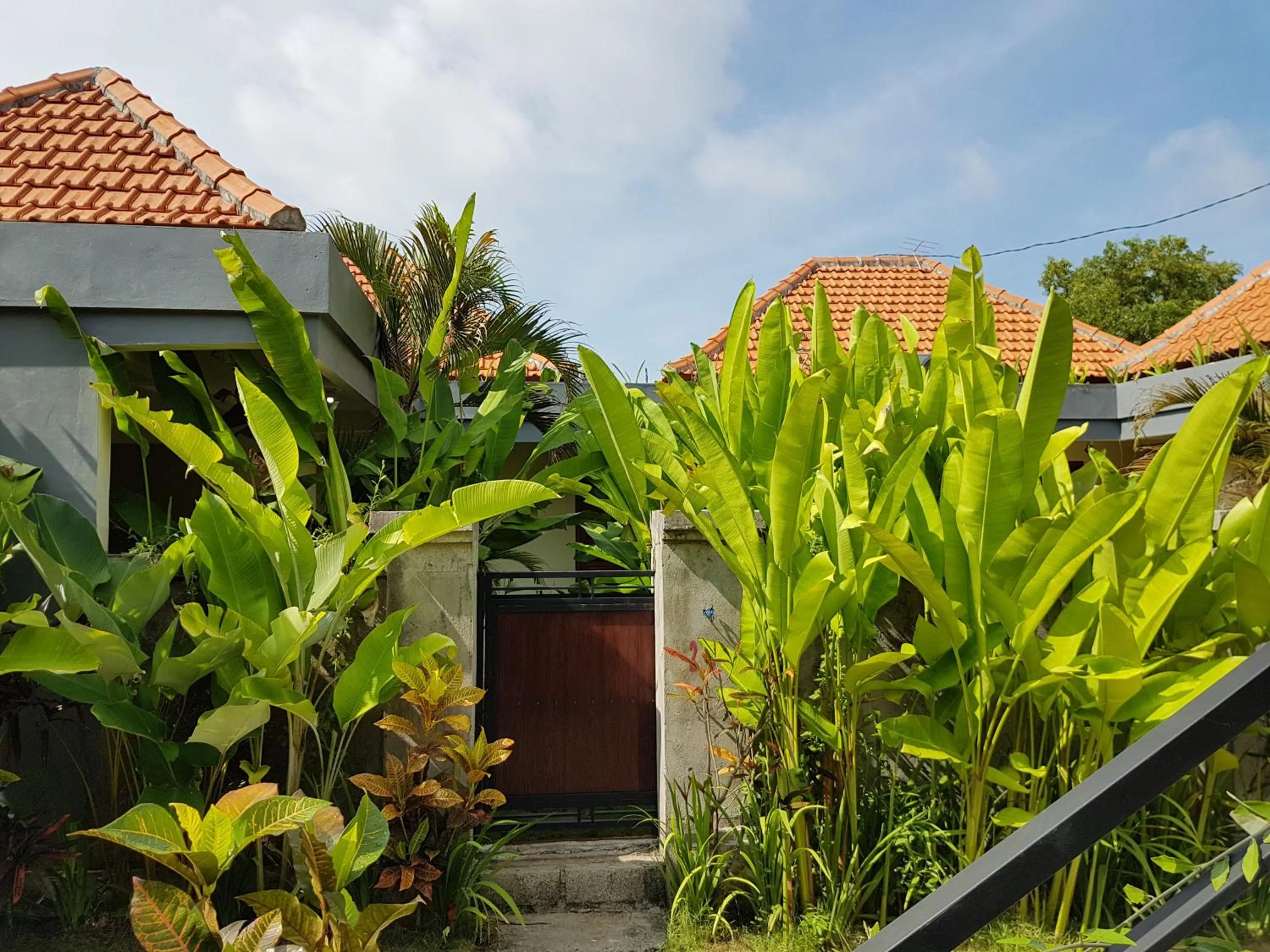 Garden view in Pandawa Beach Homestay