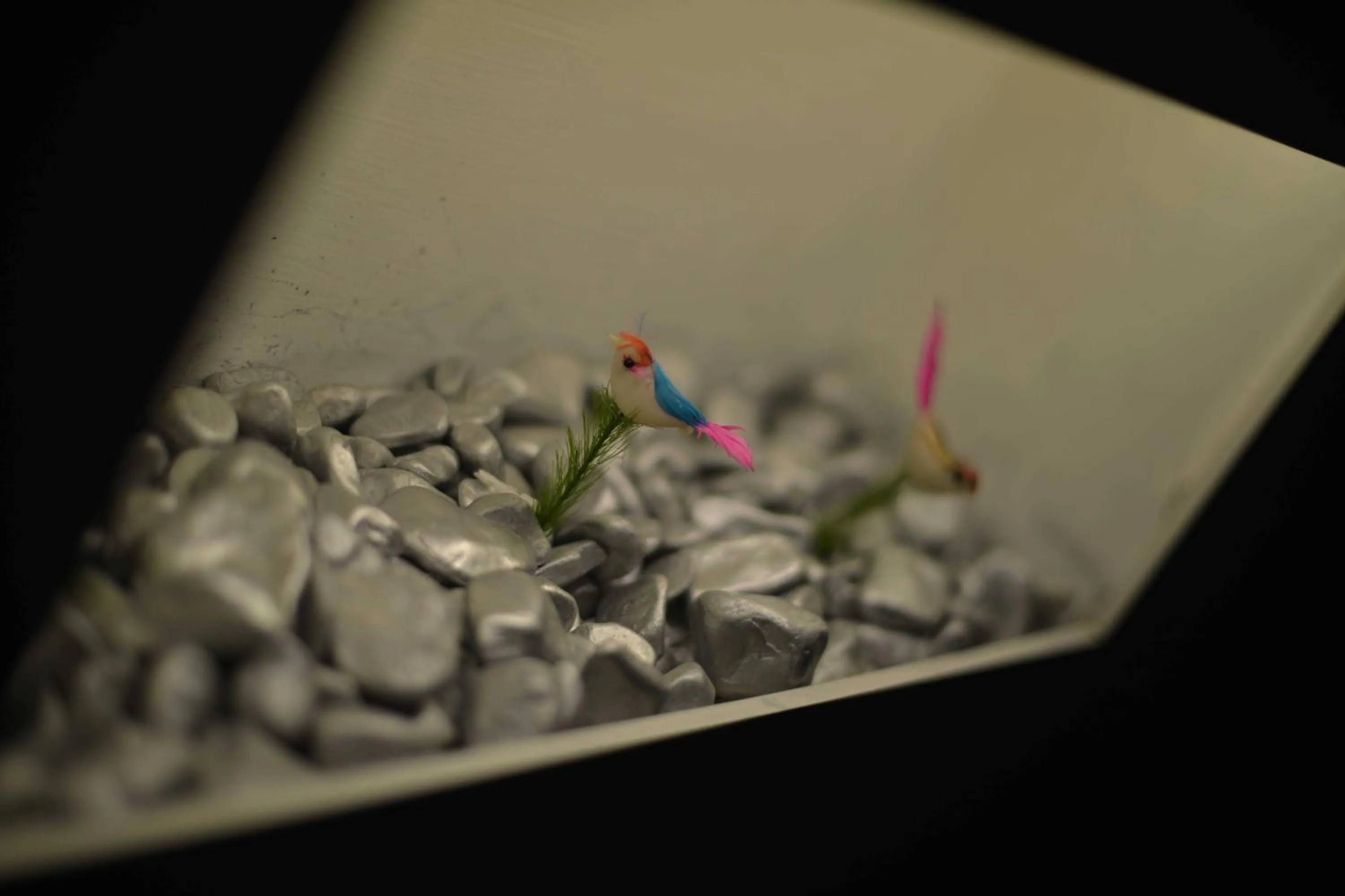 Other in Letter Hotel