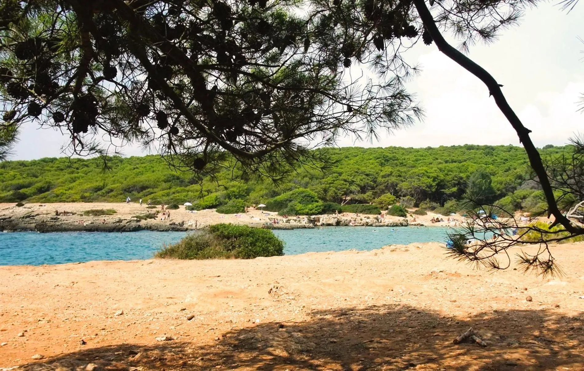 Natural landscape in Corte Gabellone - dimora storica