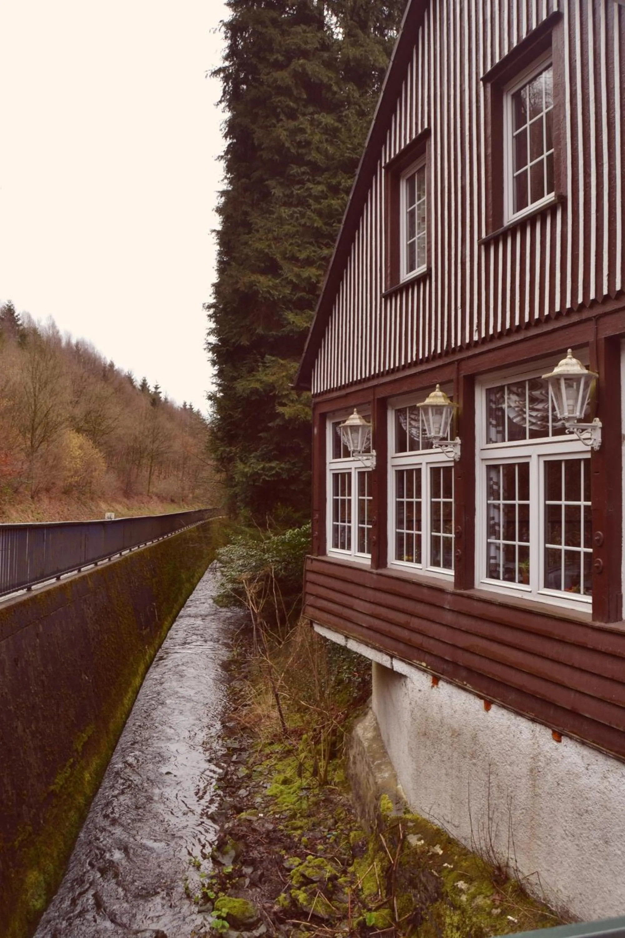 View (from property/room) in Waldhotel Lemberg