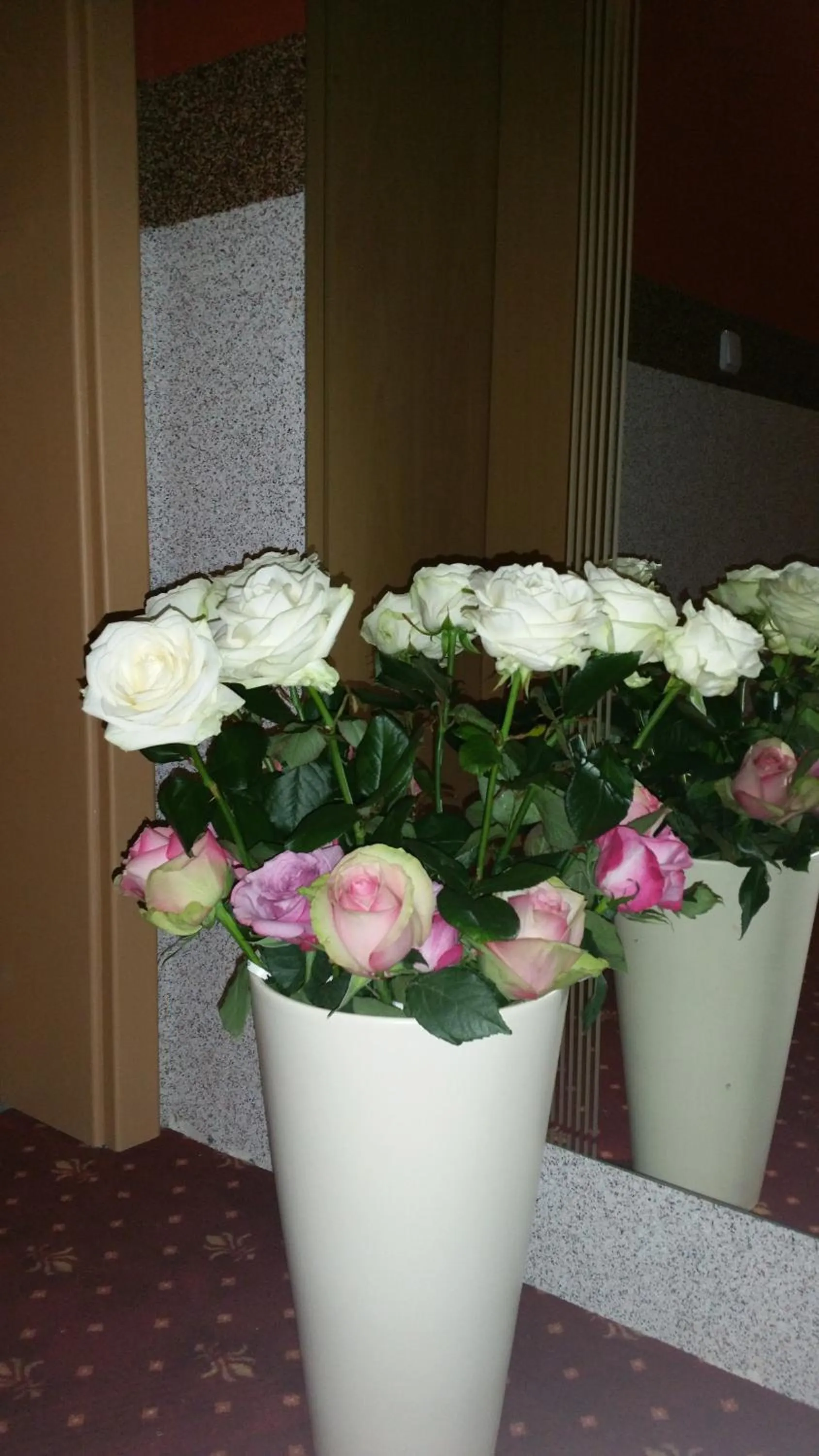 Area and facilities in Waldhotel Lemberg