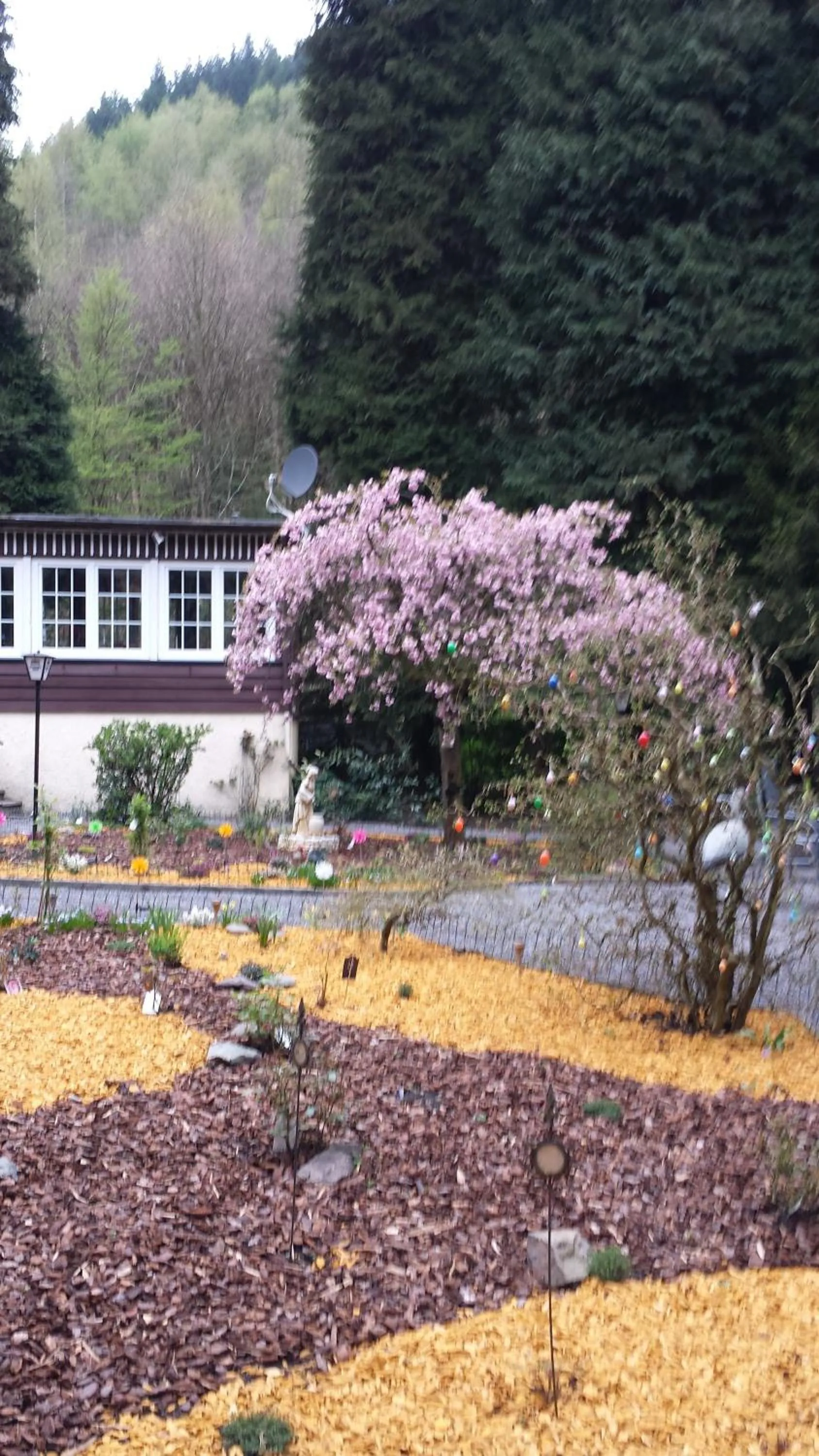 Garden in Waldhotel Lemberg