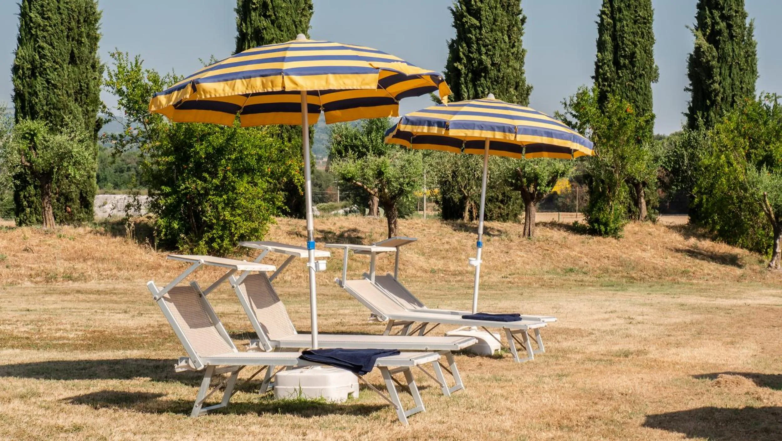 Garden in Hotel Vega Perugia