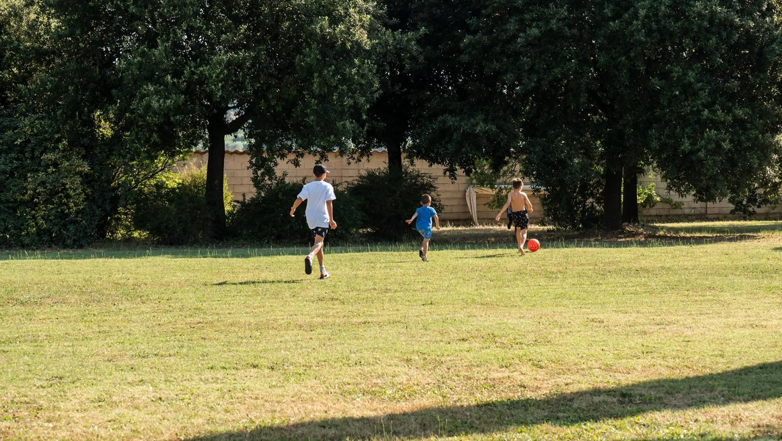 Garden in Hotel Vega Perugia