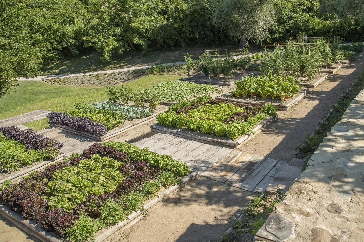 Garden in Badia di Pomaio