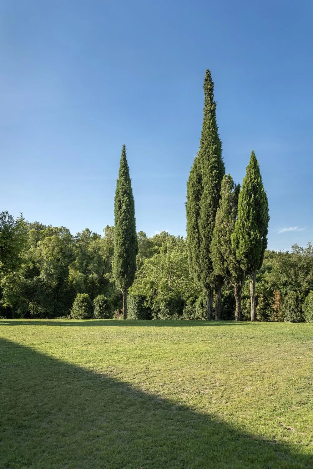 Natural landscape in Badia di Pomaio
