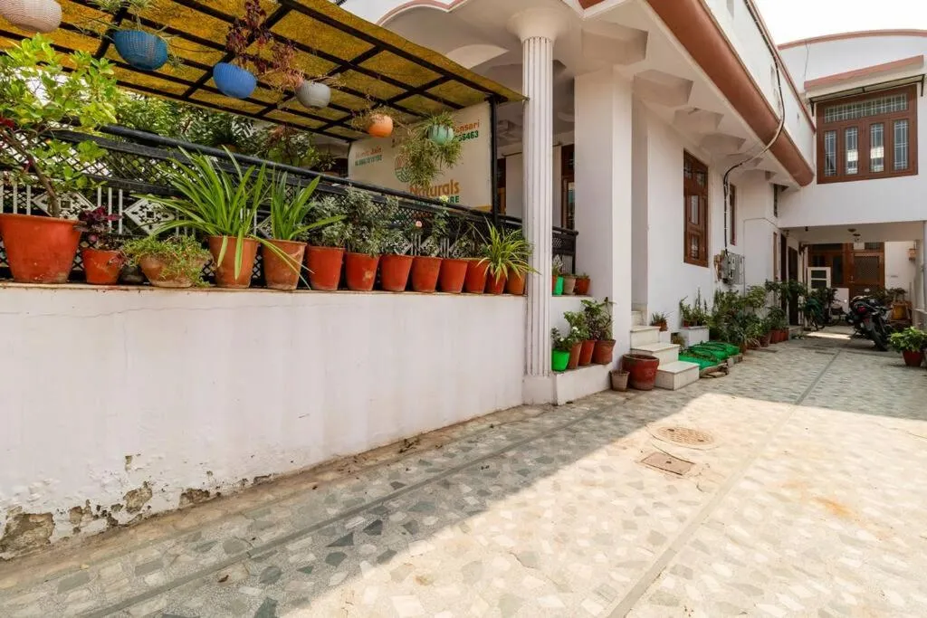 Garden in Padmalayabnb