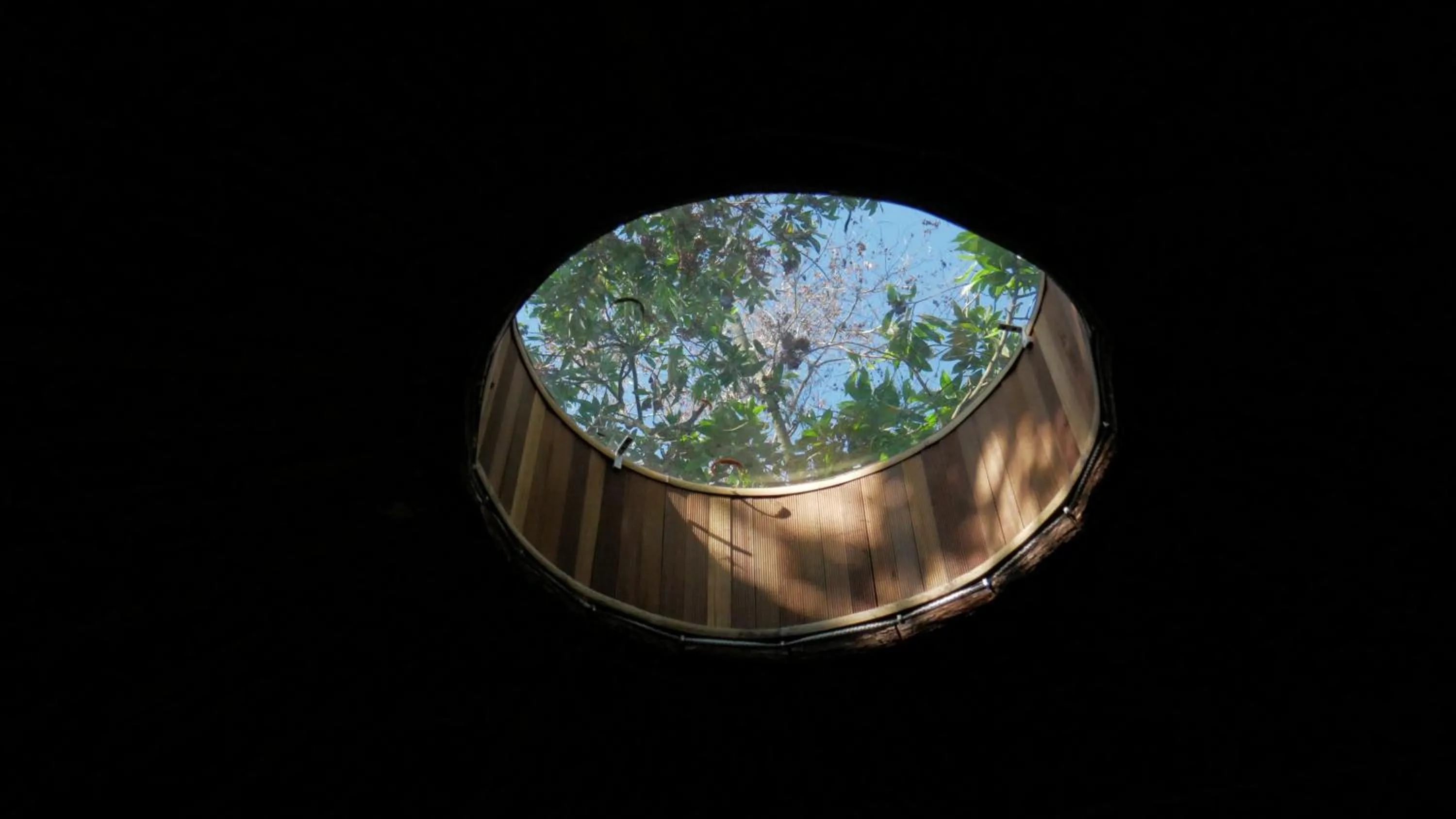 Garden in Bukit Raya Guesthouse