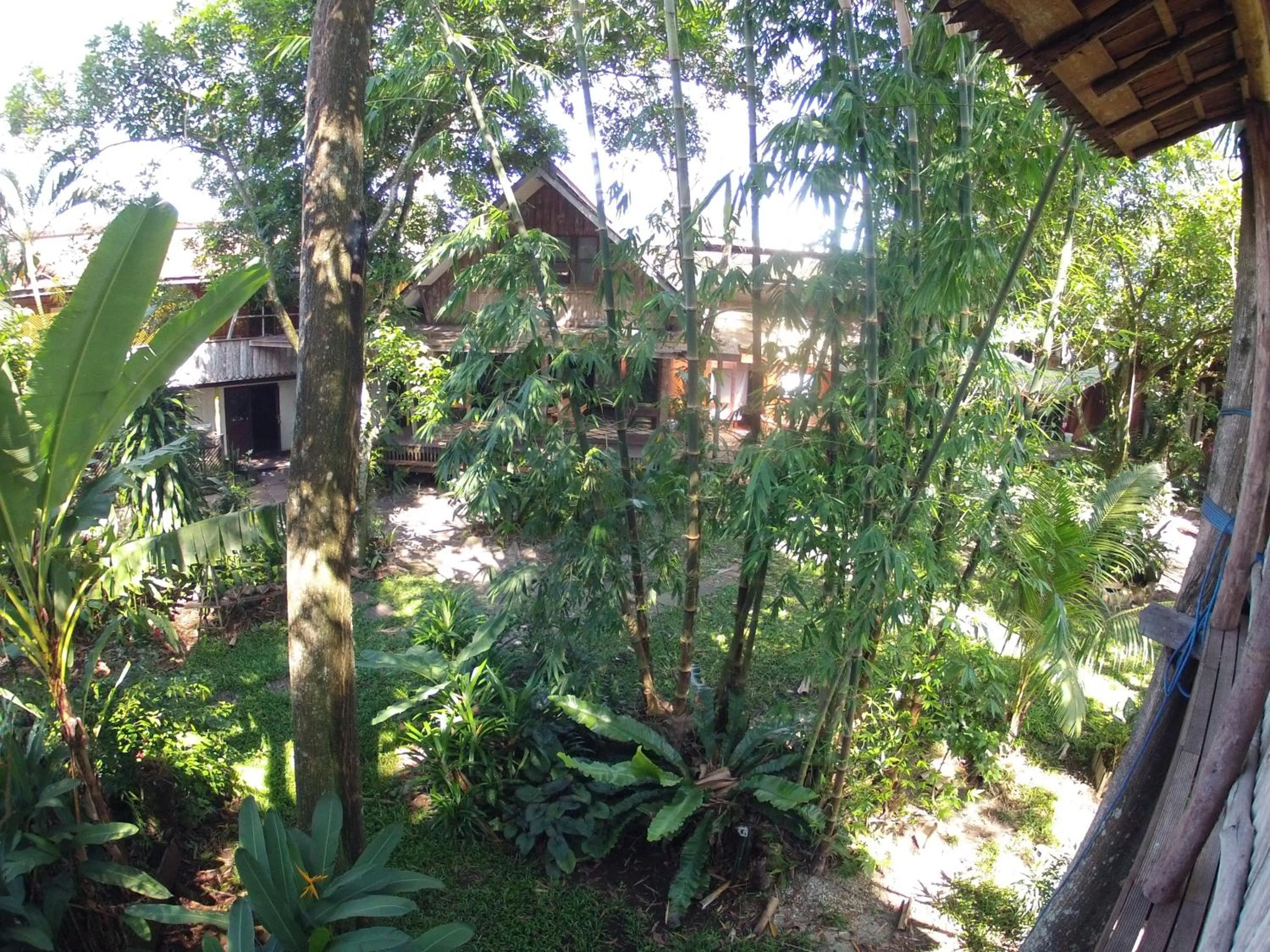 Natural landscape in Bukit Raya Guesthouse