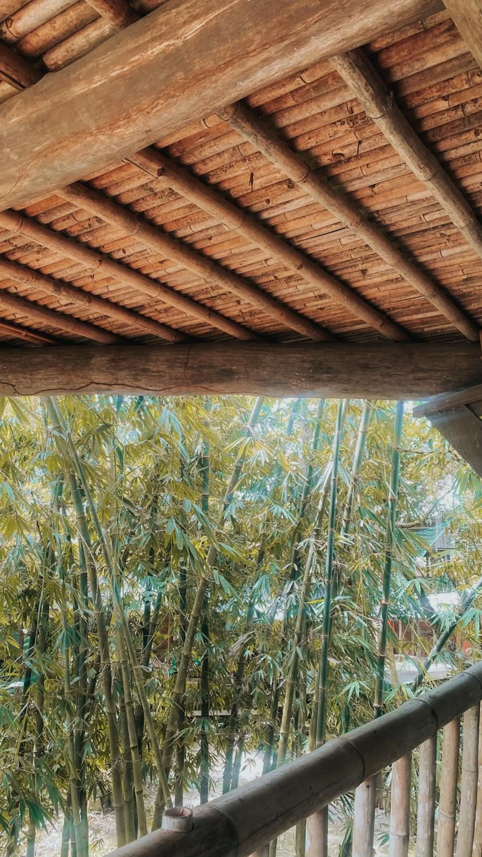 View (from property/room) in Bukit Raya Guesthouse