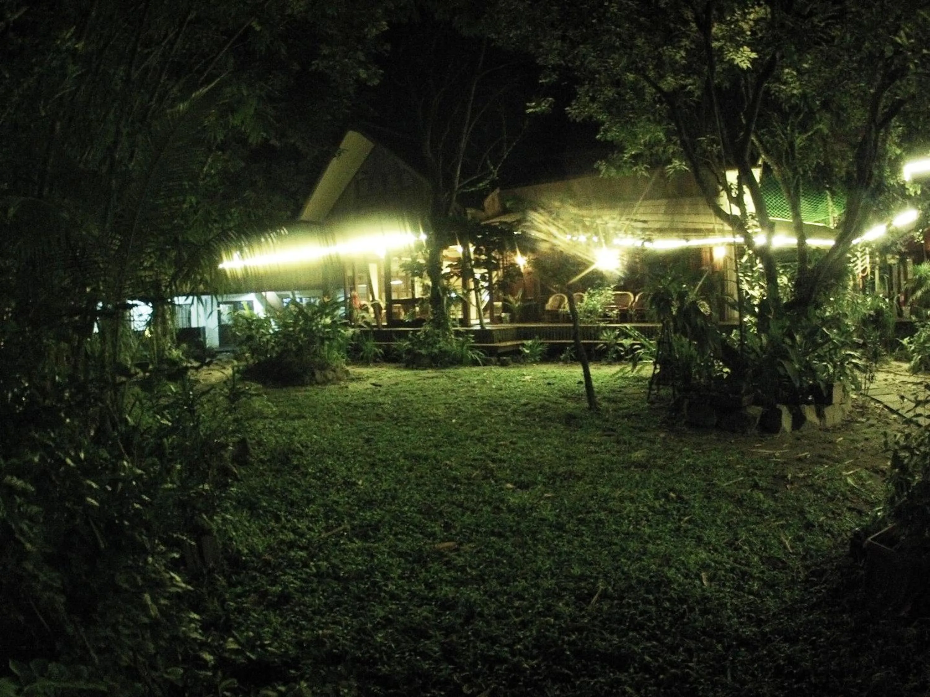 Natural landscape in Bukit Raya Guesthouse