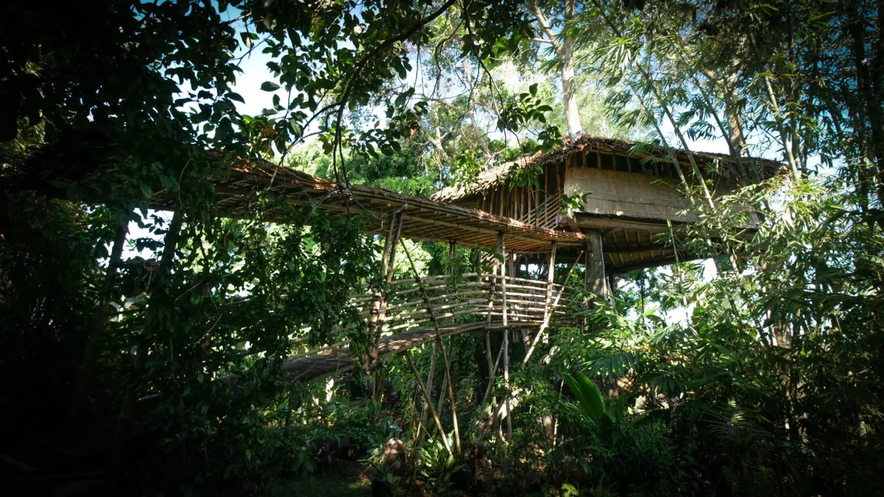 Natural landscape in Bukit Raya Guesthouse