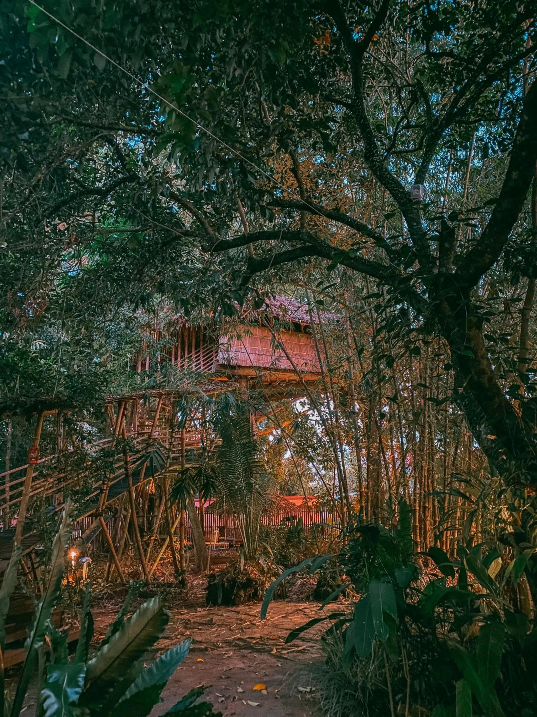 View (from property/room) in Bukit Raya Guesthouse