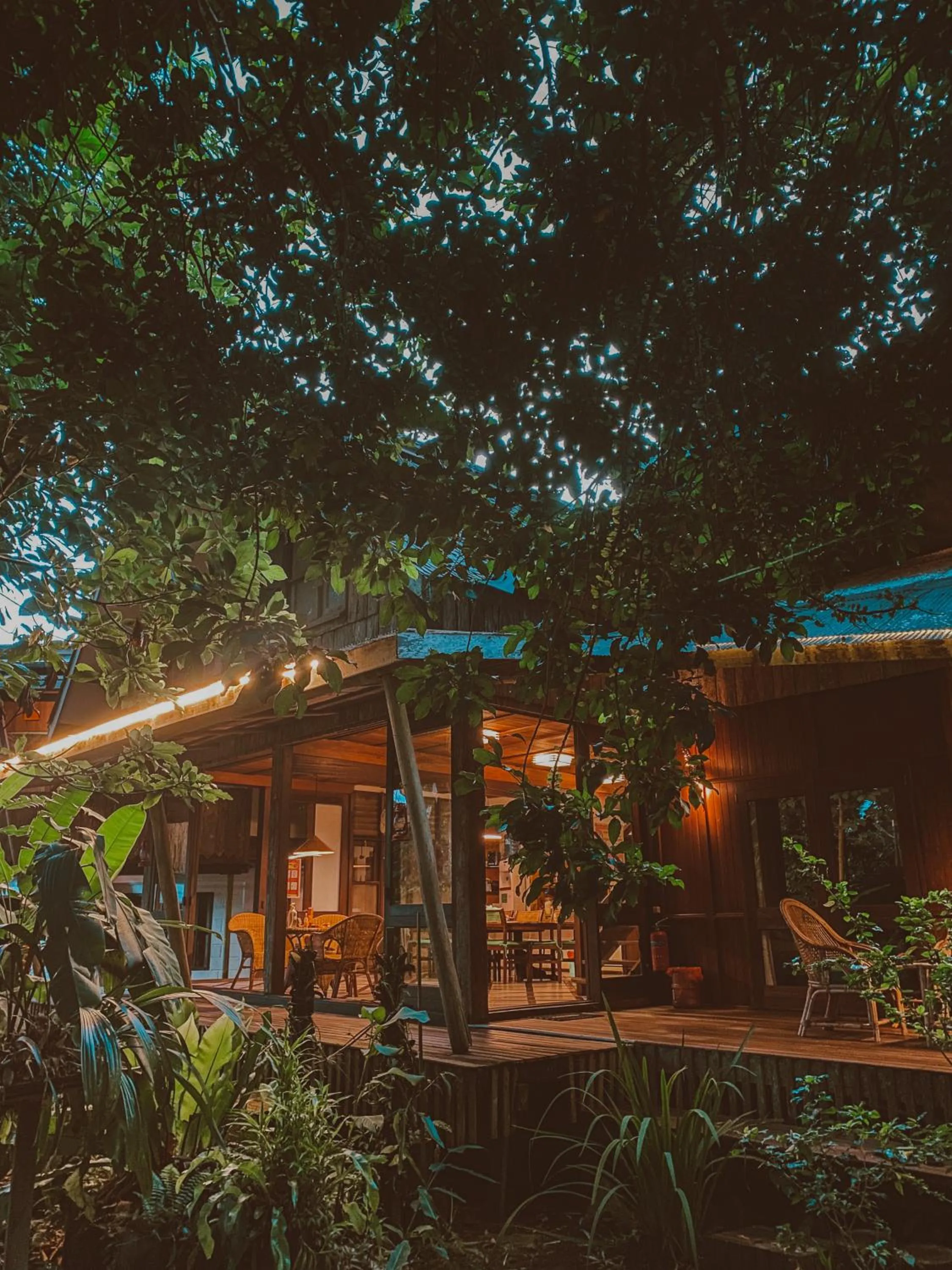 View (from property/room) in Bukit Raya Guesthouse