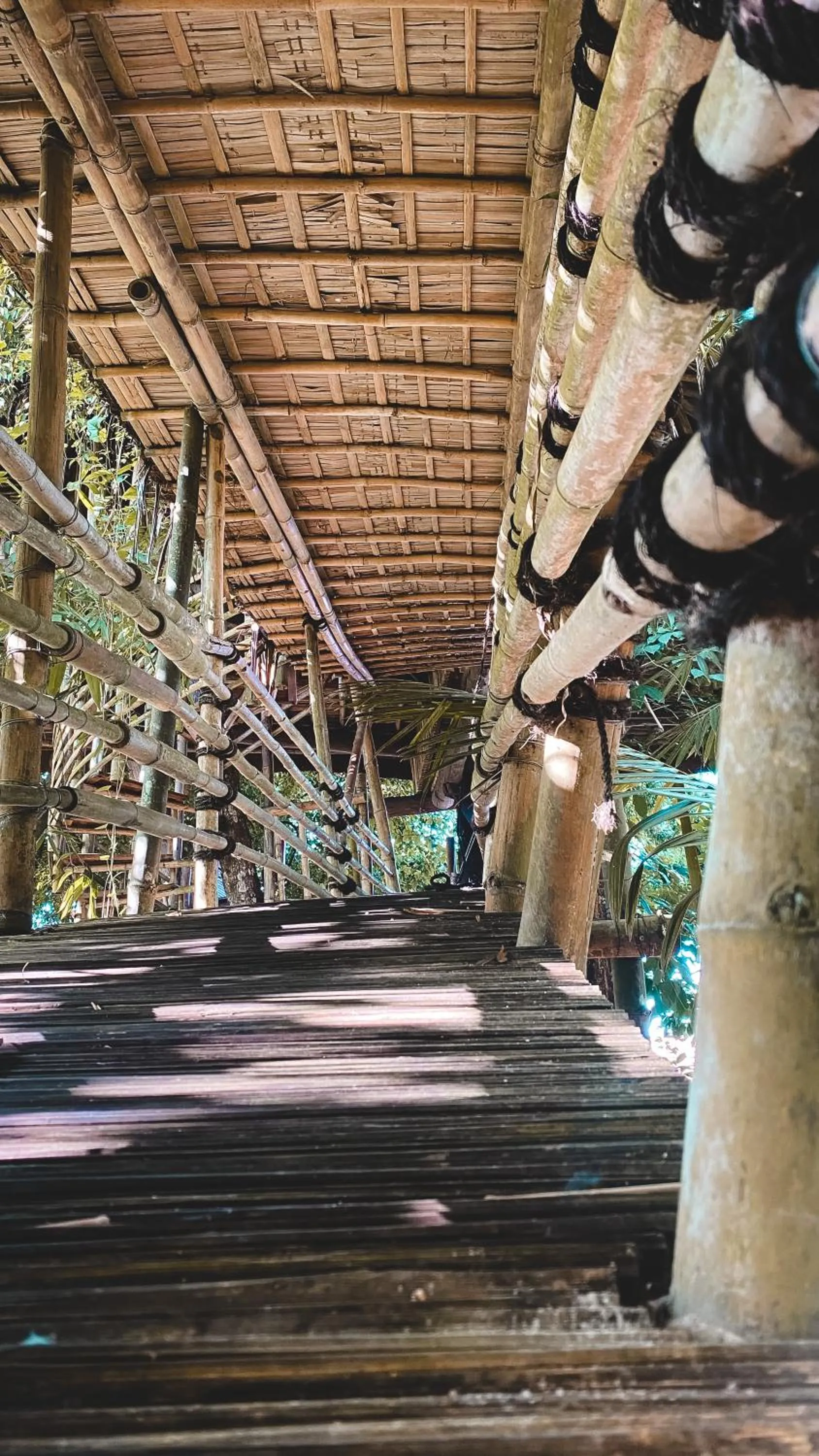 View (from property/room) in Bukit Raya Guesthouse