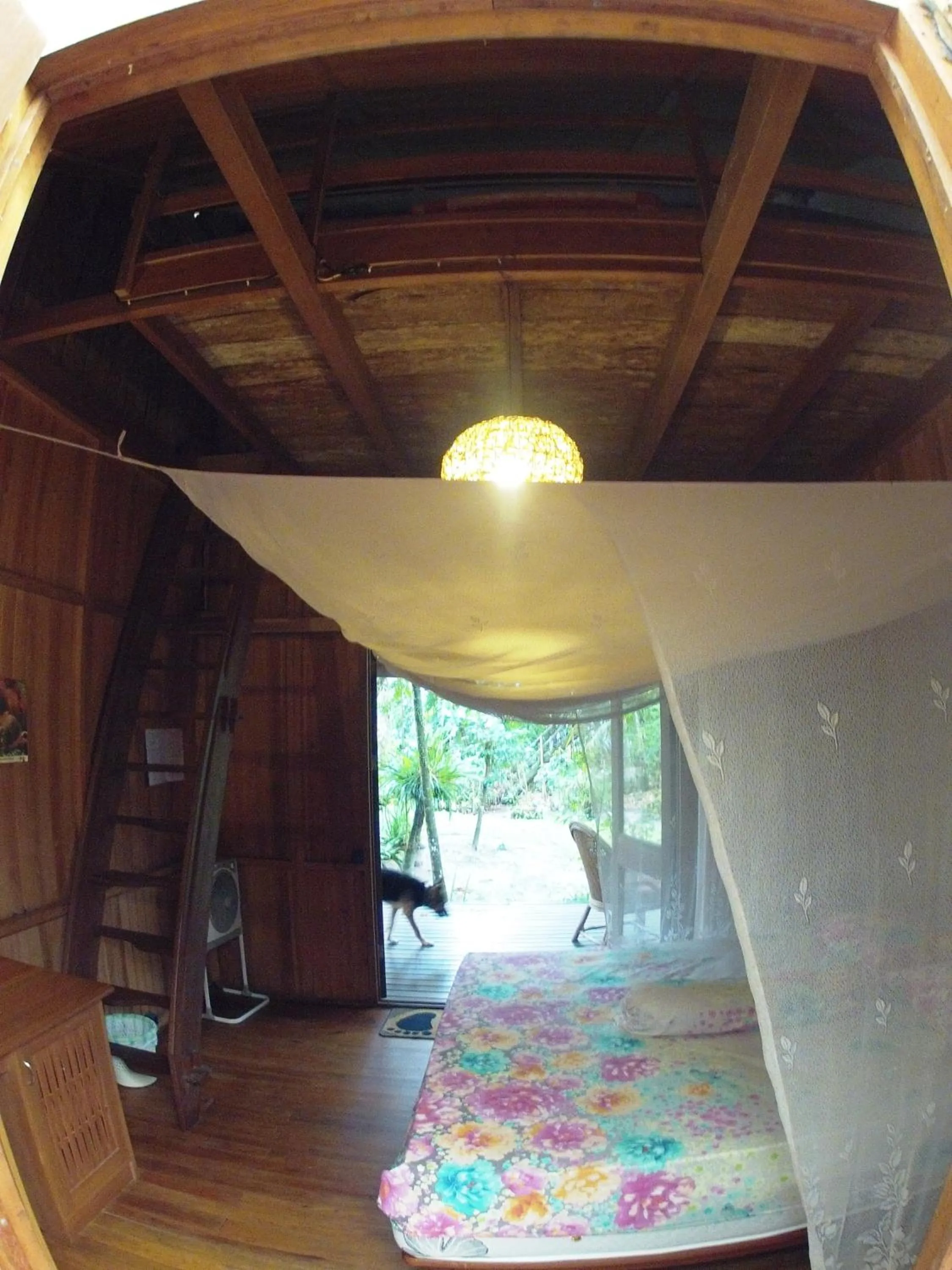 Balcony/Terrace in Bukit Raya Guesthouse