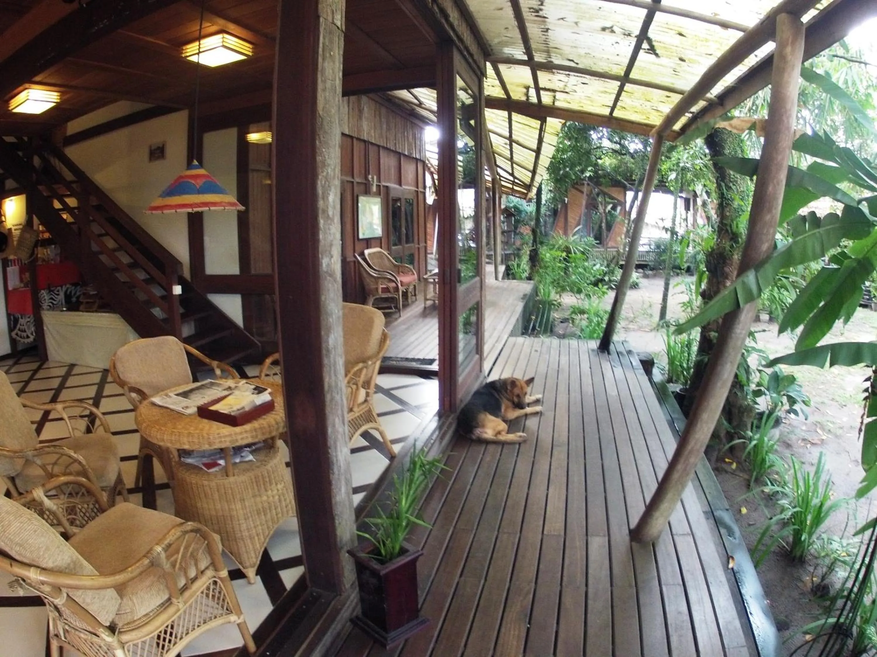 Garden in Bukit Raya Guesthouse