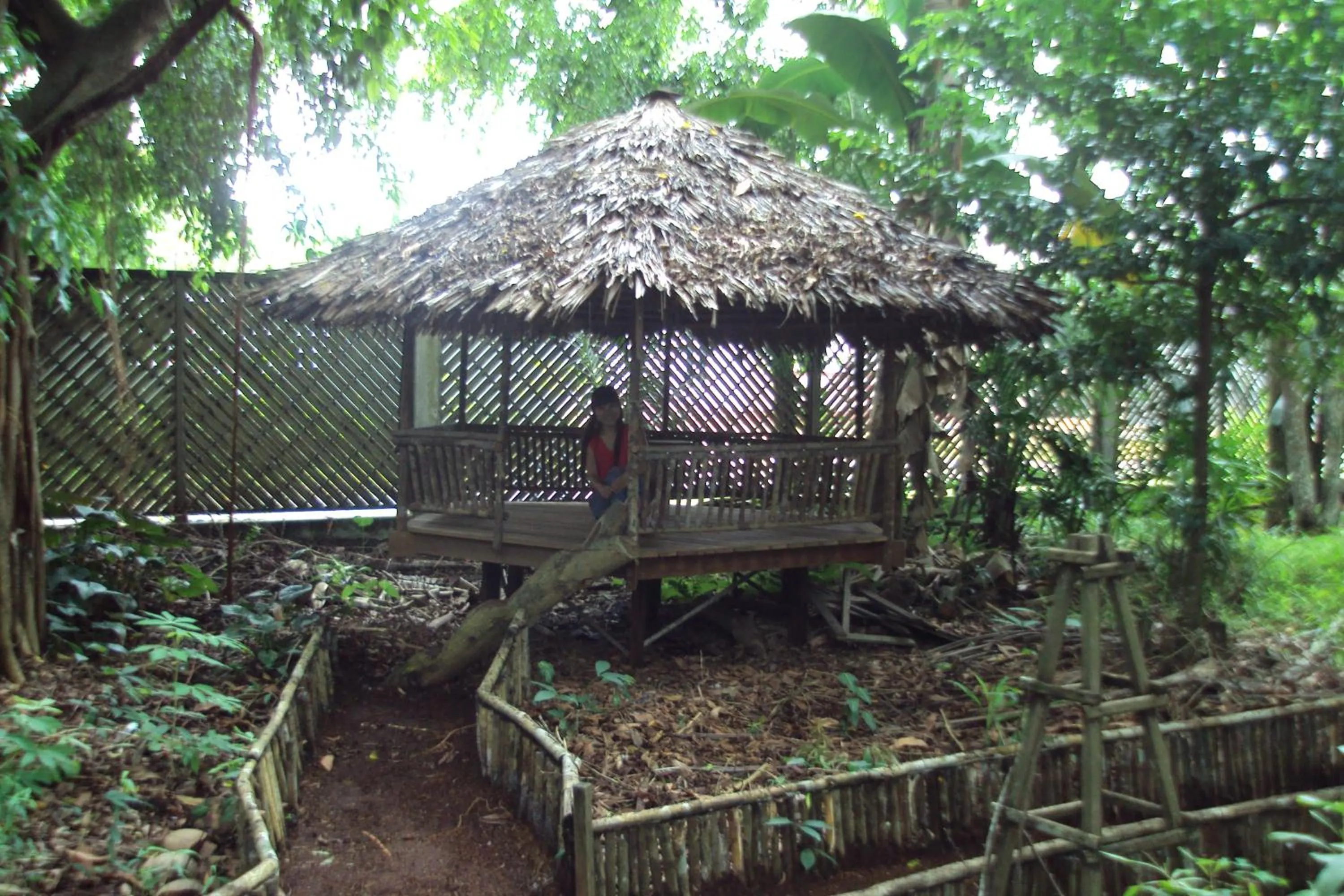 Natural landscape in Bukit Raya Guesthouse
