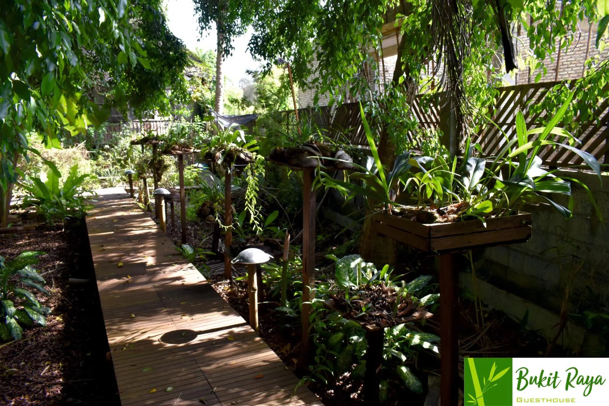 Garden in Bukit Raya Guesthouse