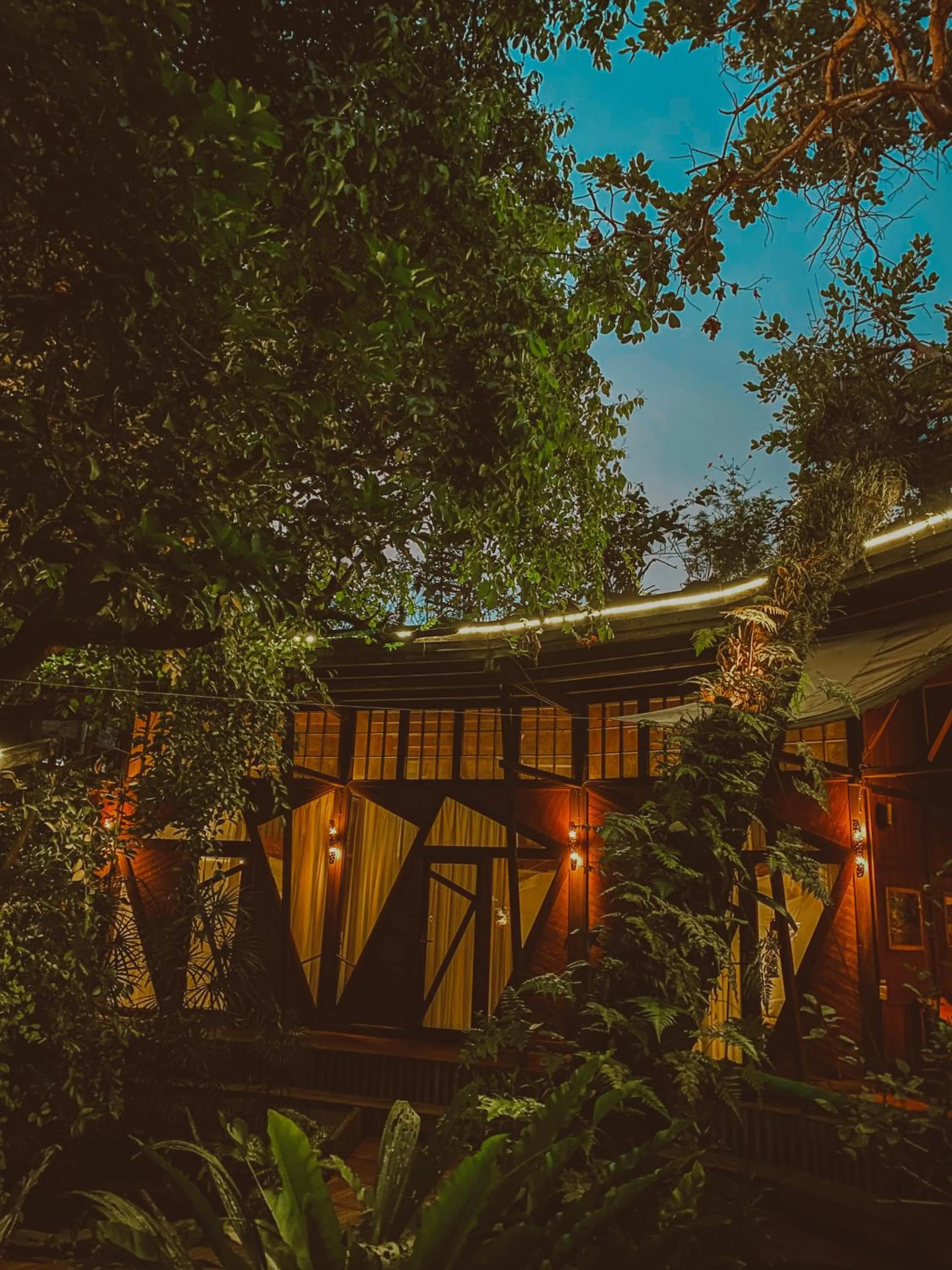 View (from property/room) in Bukit Raya Guesthouse