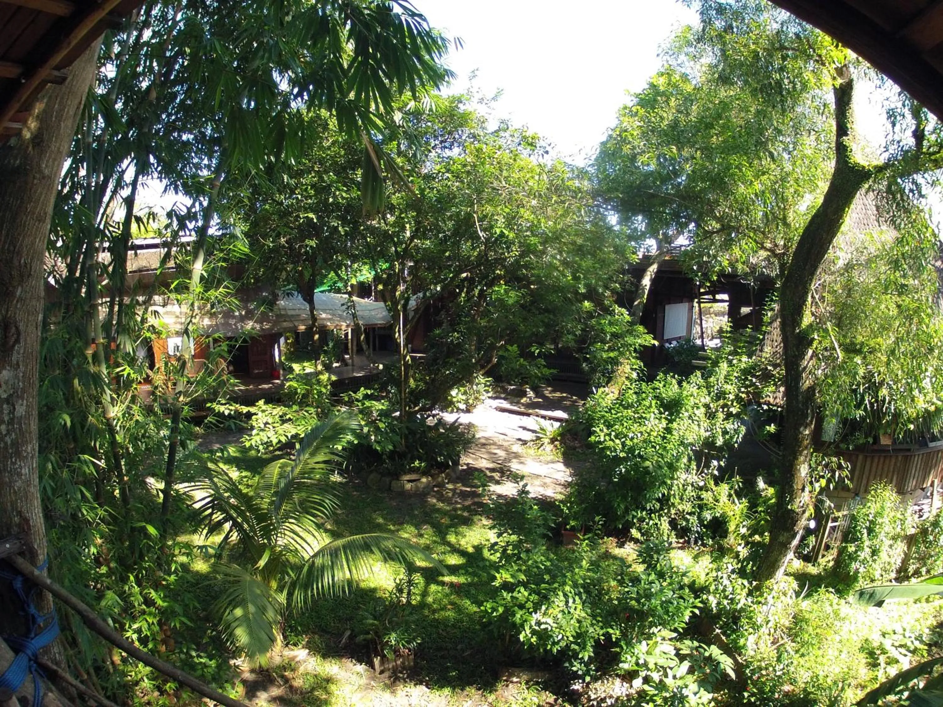 Natural landscape in Bukit Raya Guesthouse