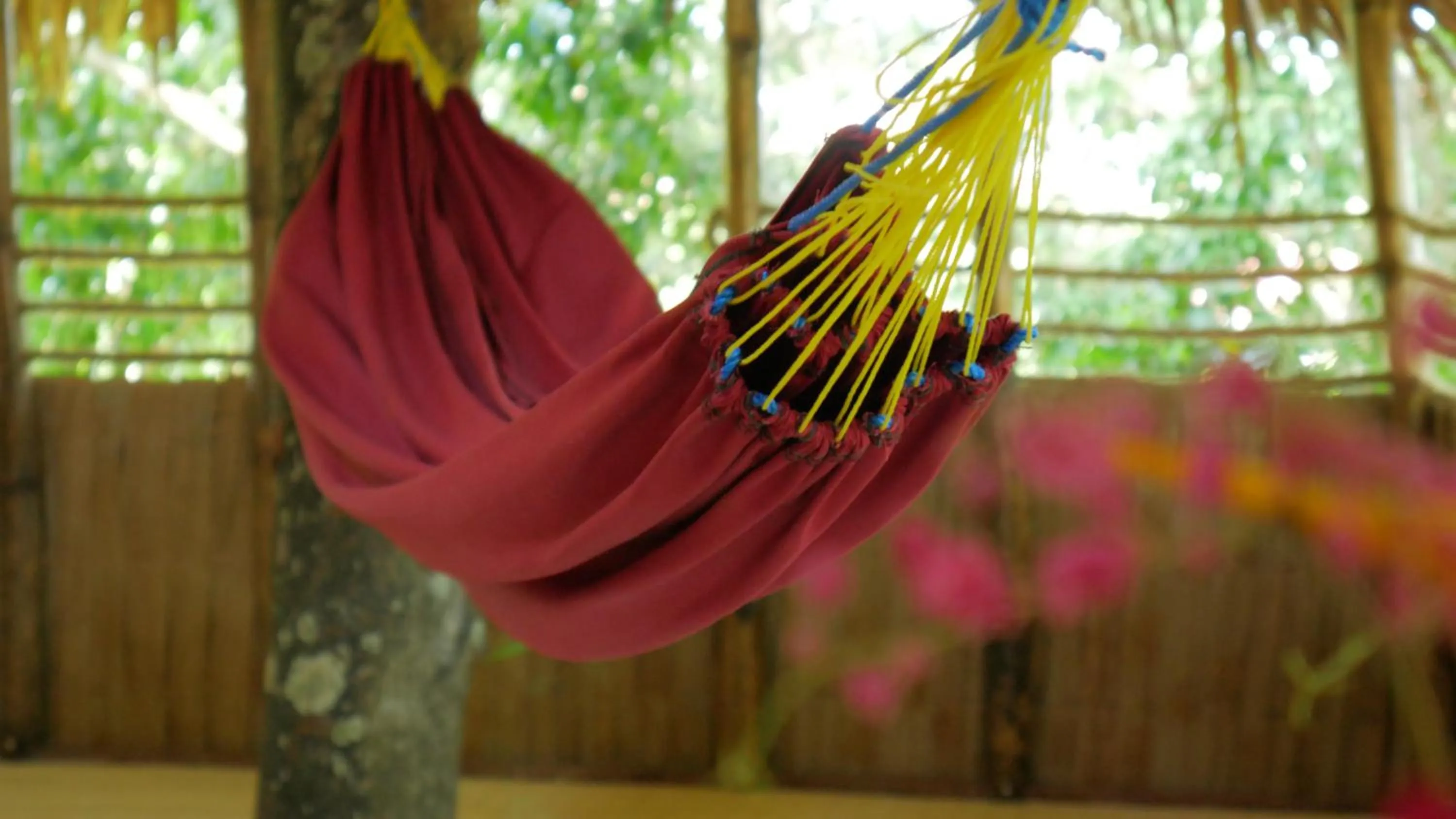 Balcony/Terrace in Bukit Raya Guesthouse
