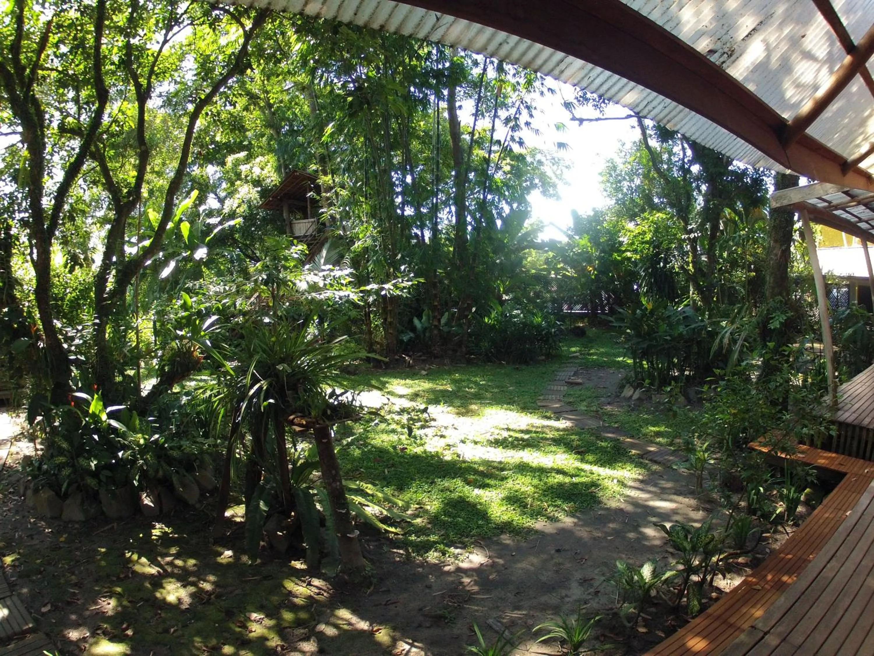 Natural landscape in Bukit Raya Guesthouse