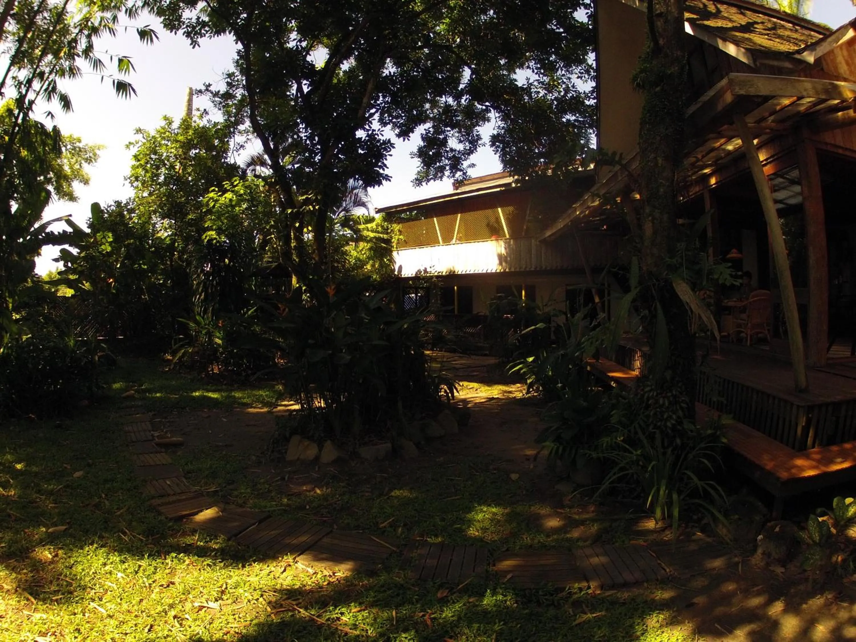 Natural landscape in Bukit Raya Guesthouse
