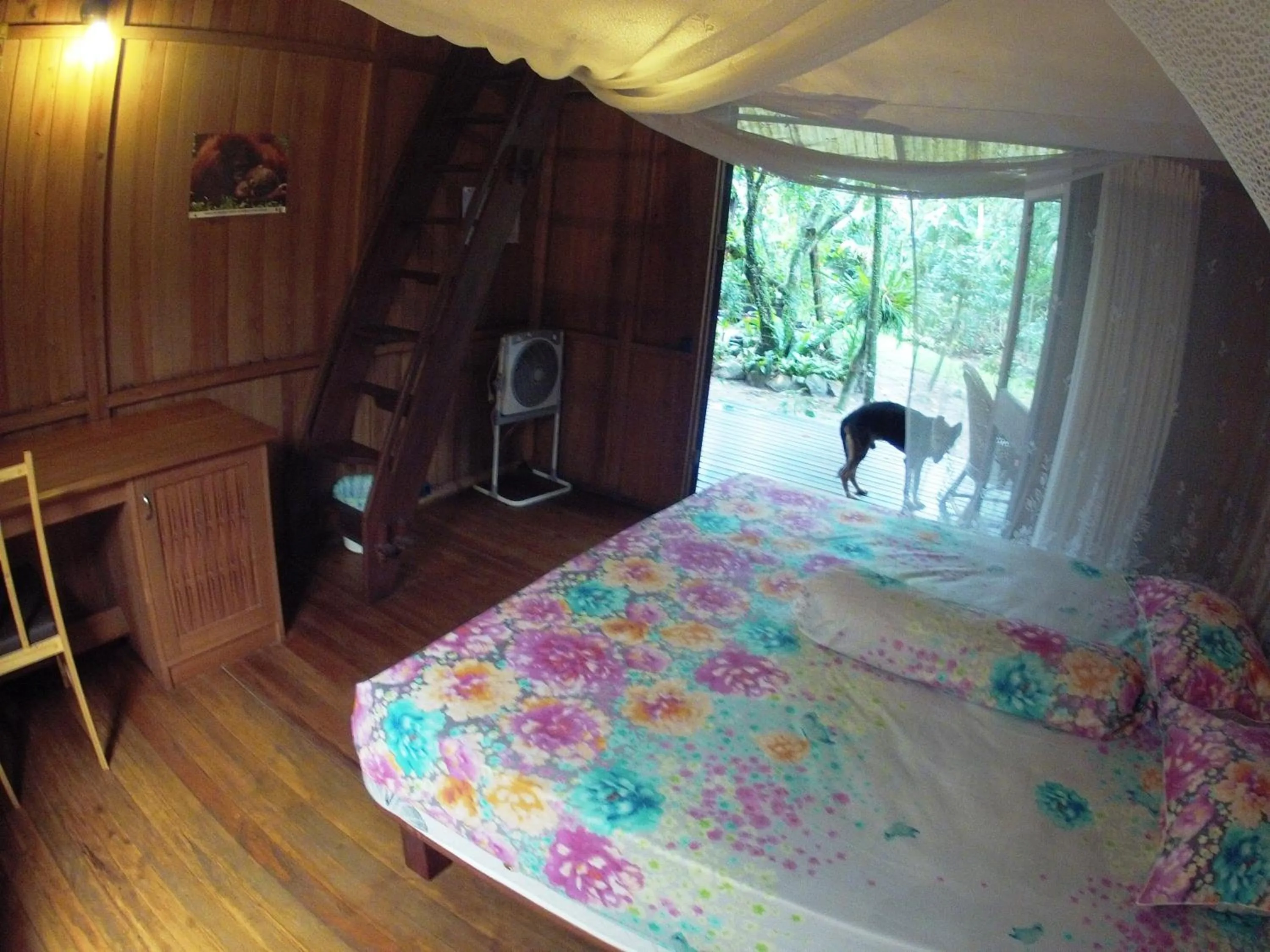 Garden view, Bed in Bukit Raya Guesthouse