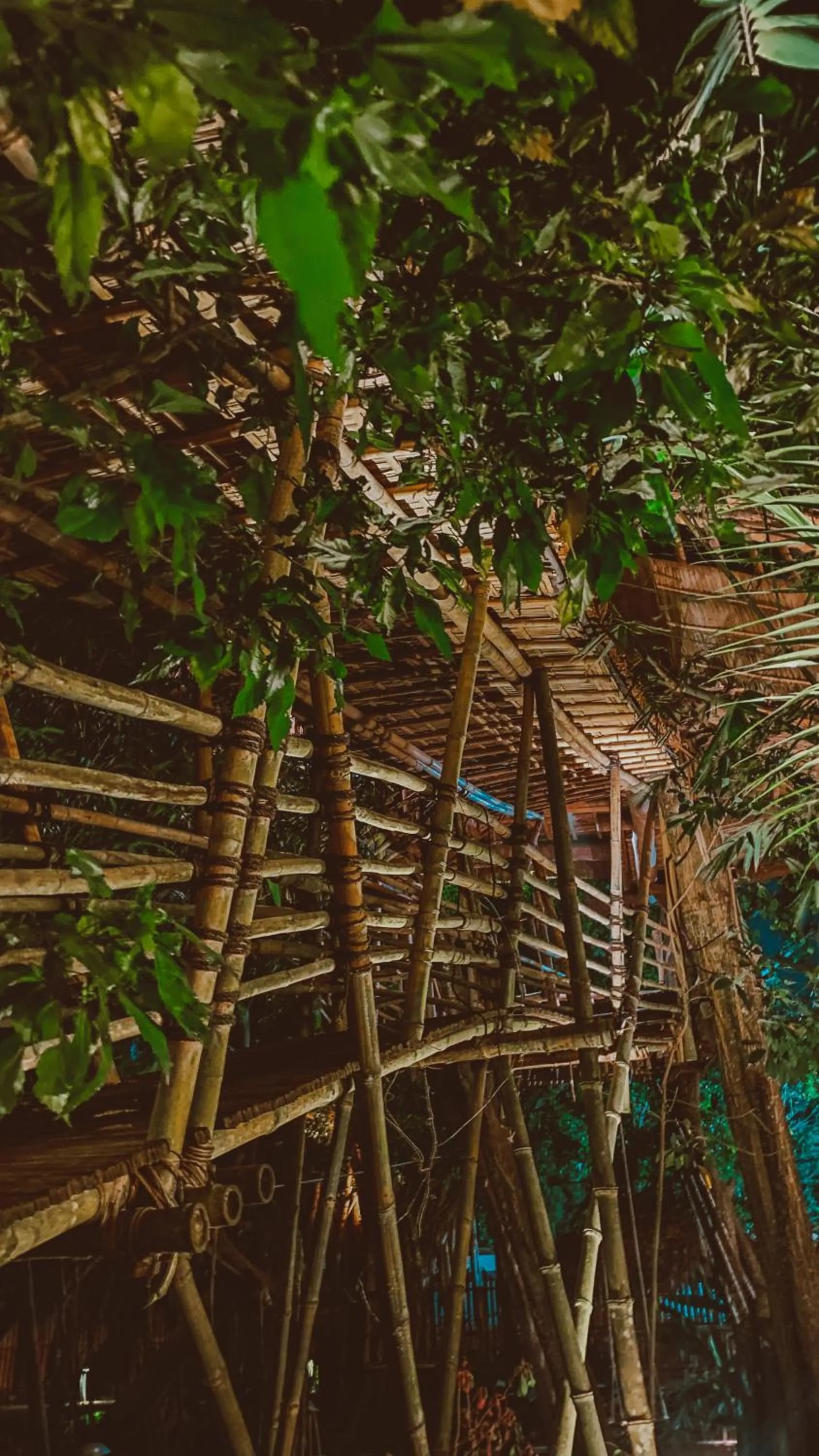 View (from property/room) in Bukit Raya Guesthouse