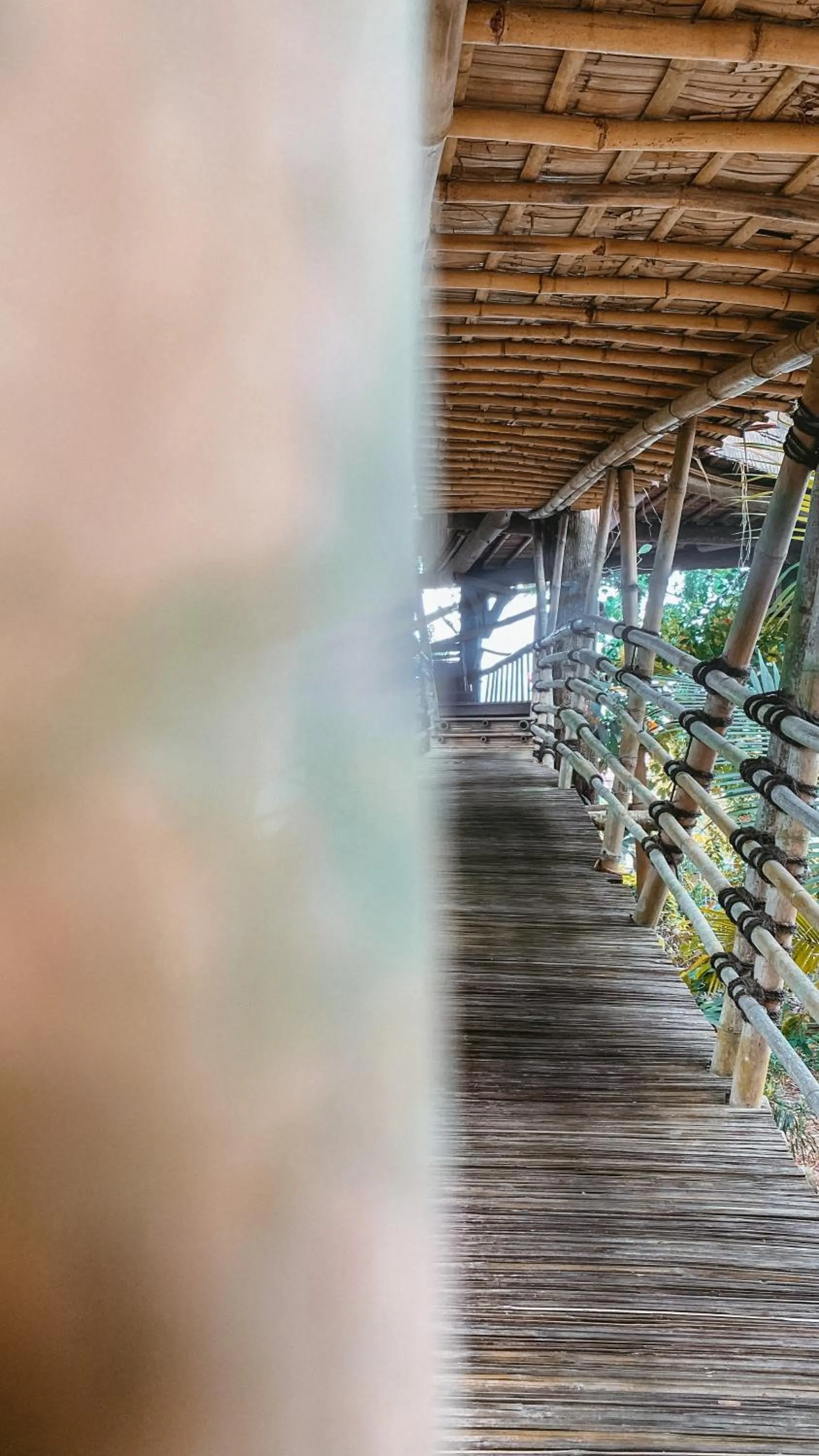 View (from property/room) in Bukit Raya Guesthouse