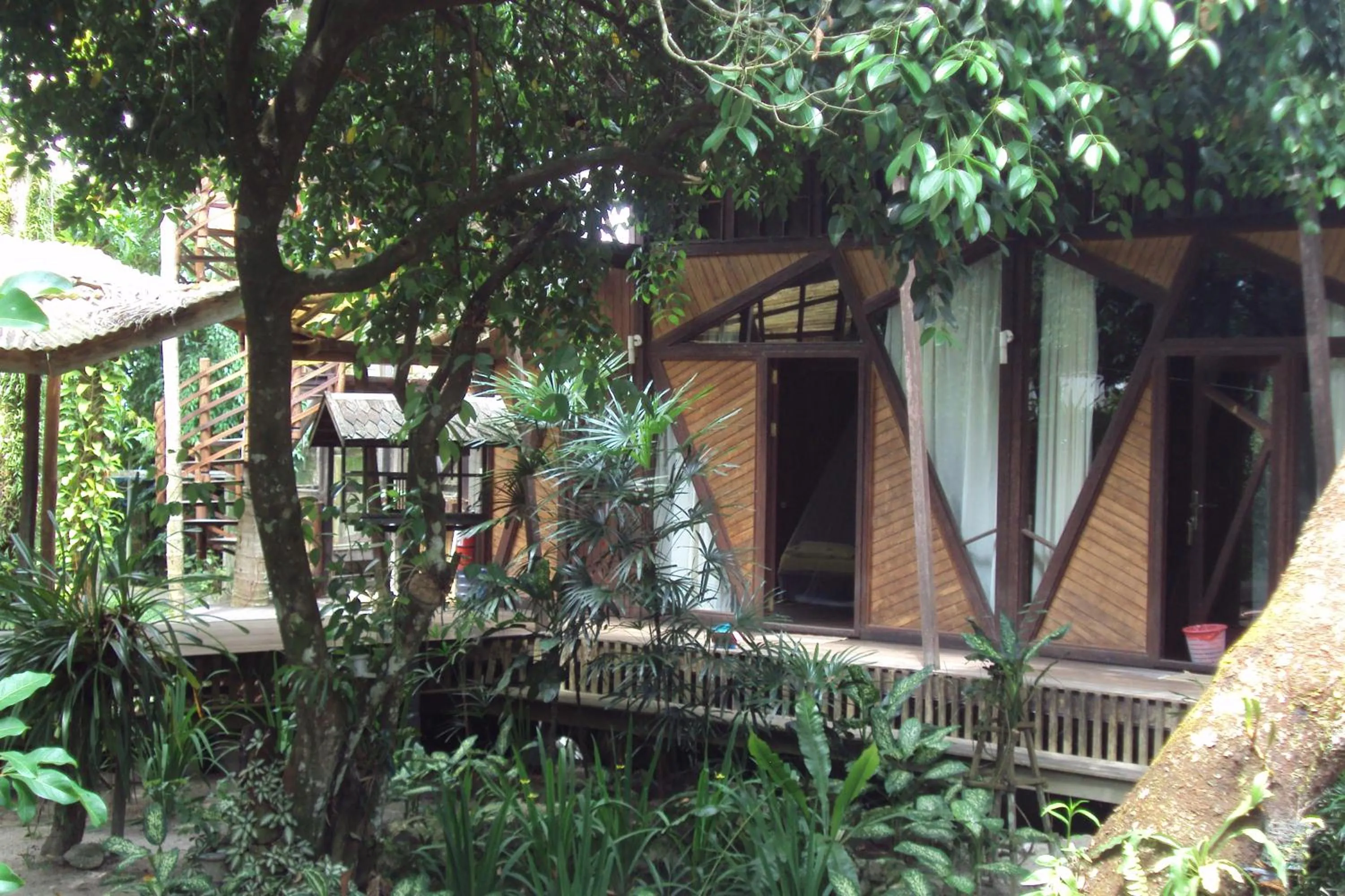 Garden in Bukit Raya Guesthouse