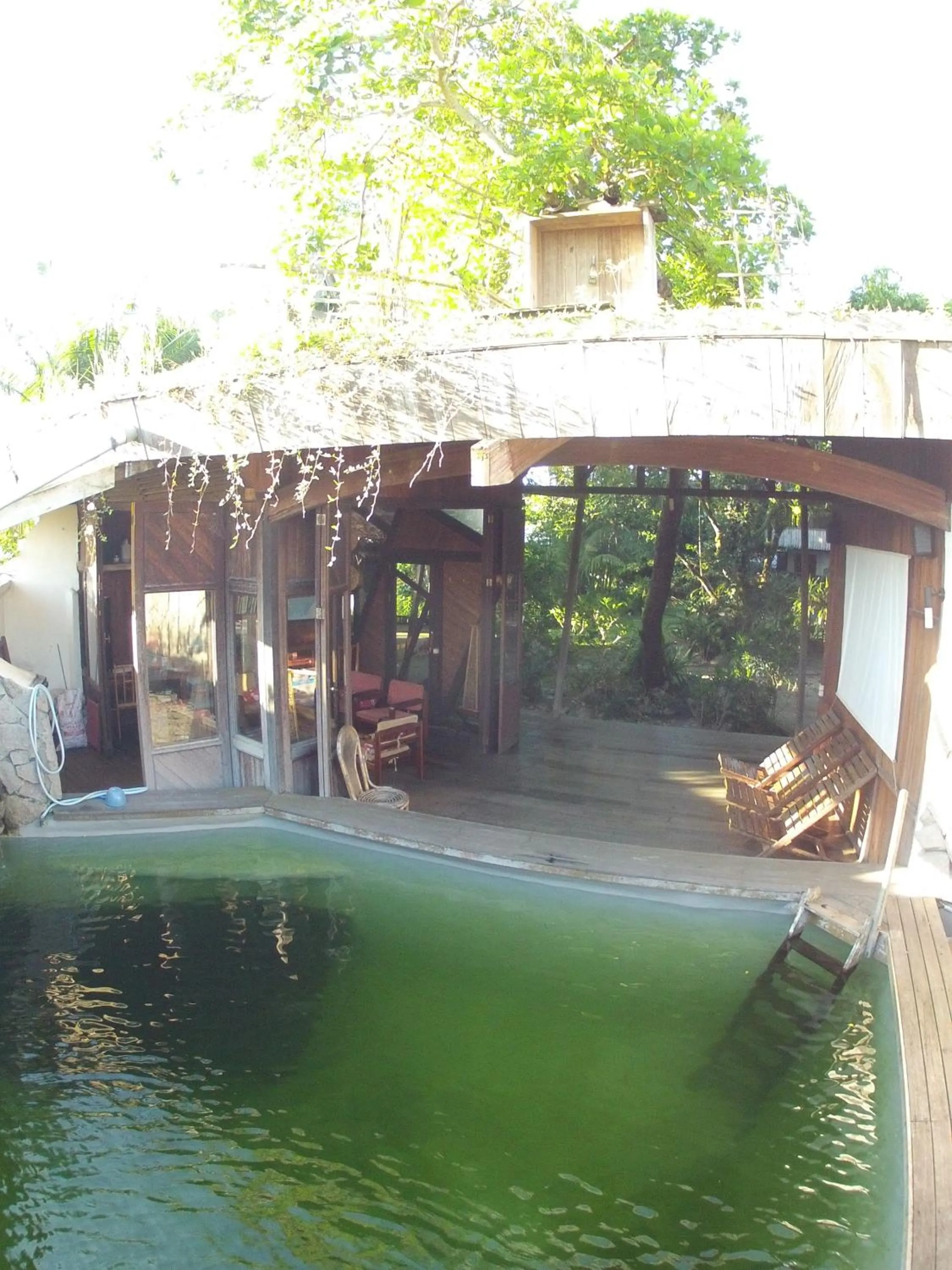 Swimming pool in Bukit Raya Guesthouse