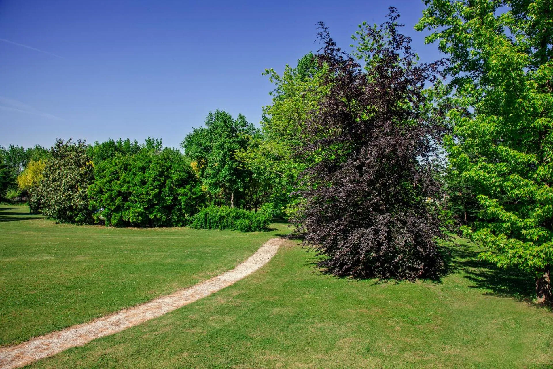 Garden in Park Hotel Junior
