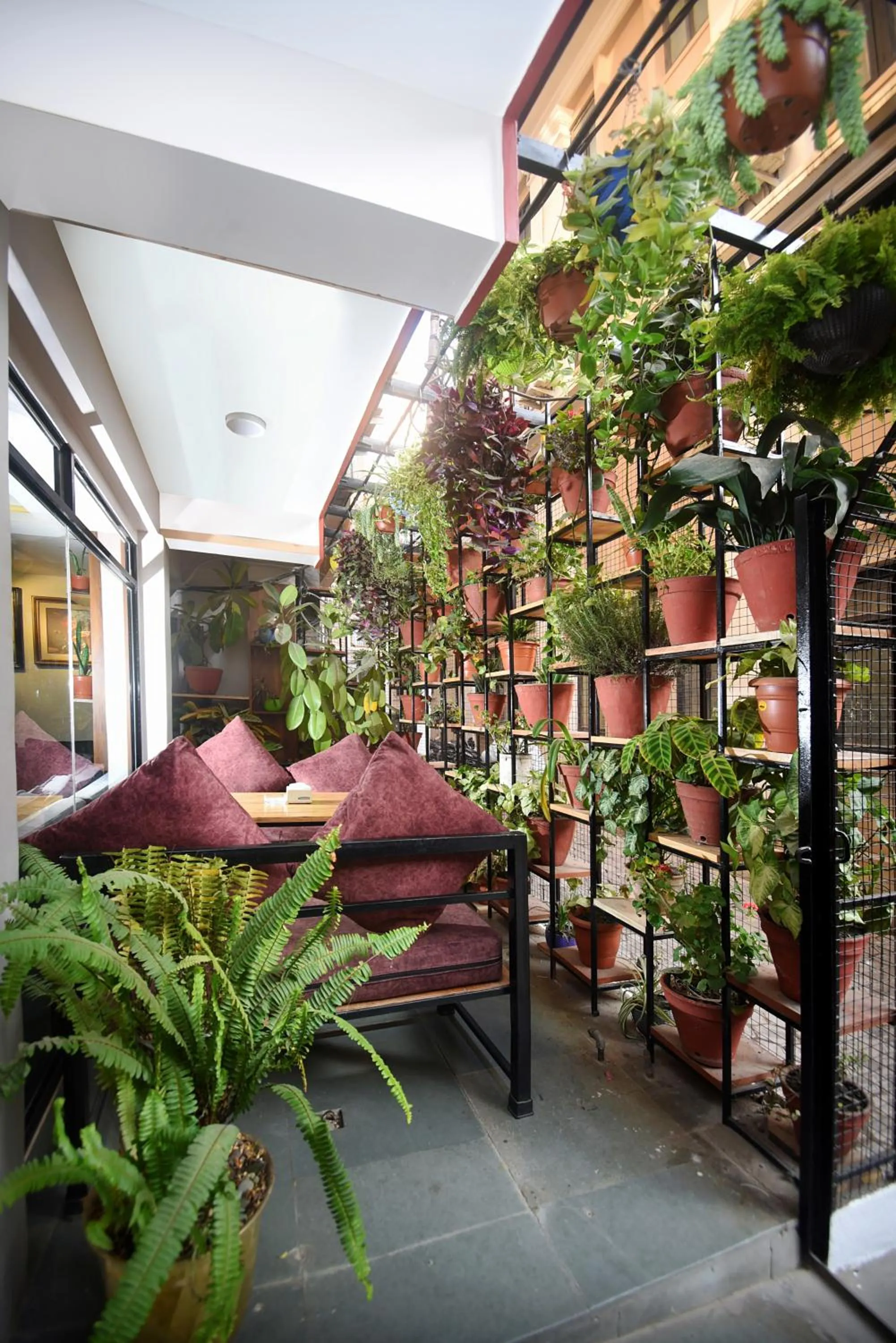 Garden, Bed in Hotel Mums Home