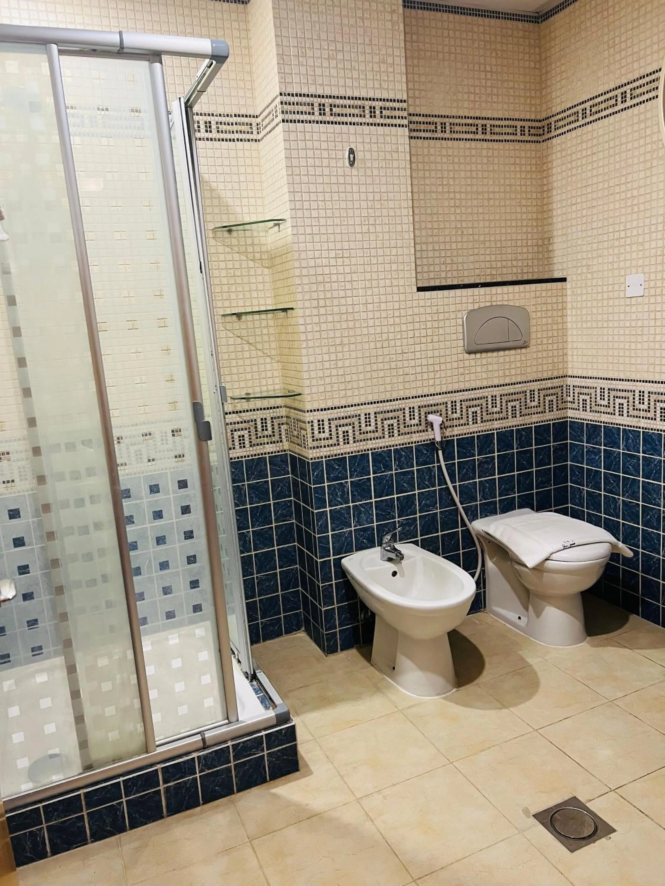 Bathroom in Elite Tower