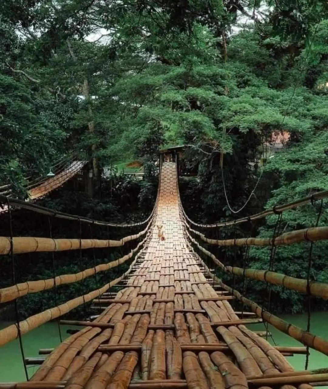 Casas de Ruumar Bed and Breakfast-Bar-Two rooms for family available