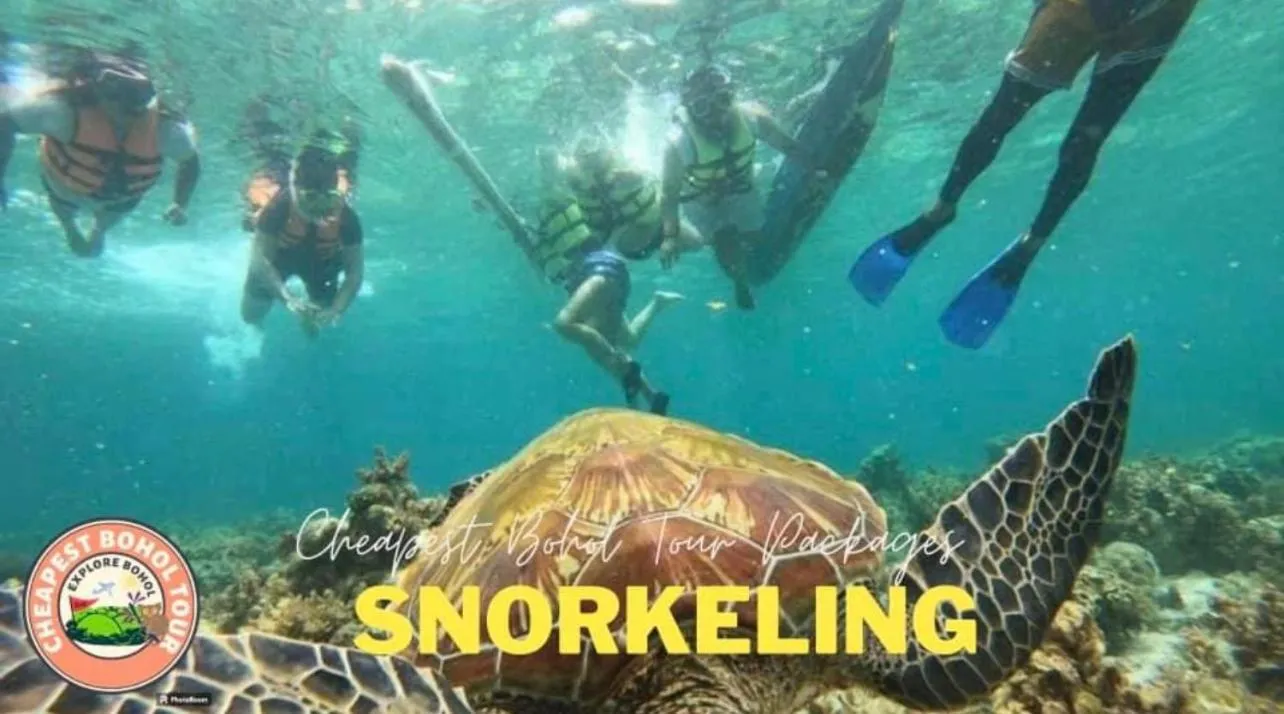 Casas de Ruumar Bed and Breakfast-Bar-Two rooms for family available