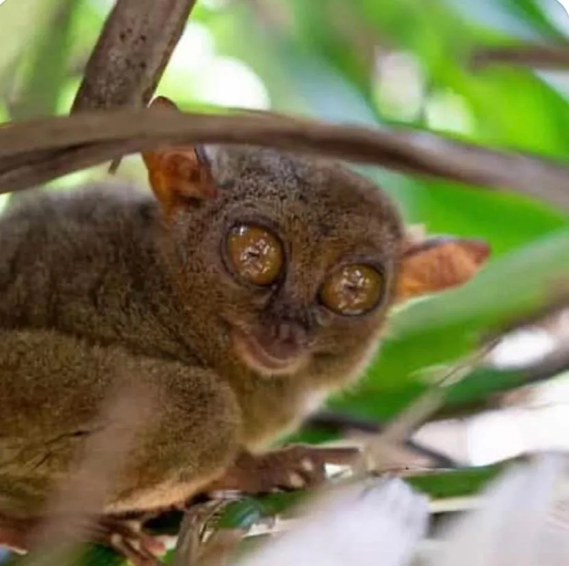 Casas de Ruumar Bed and Breakfast-Bar-Two rooms for family available