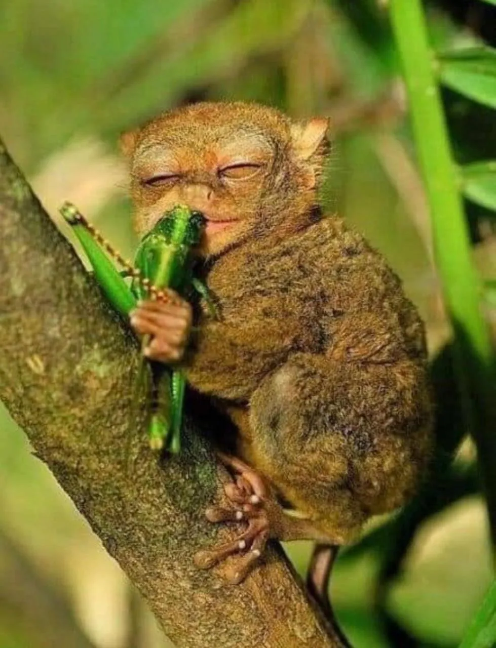 Casas de Ruumar Bed and Breakfast-Bar-Two rooms for family available