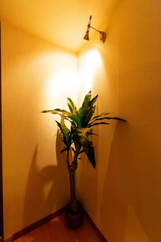 Photo of the whole room in PRIME