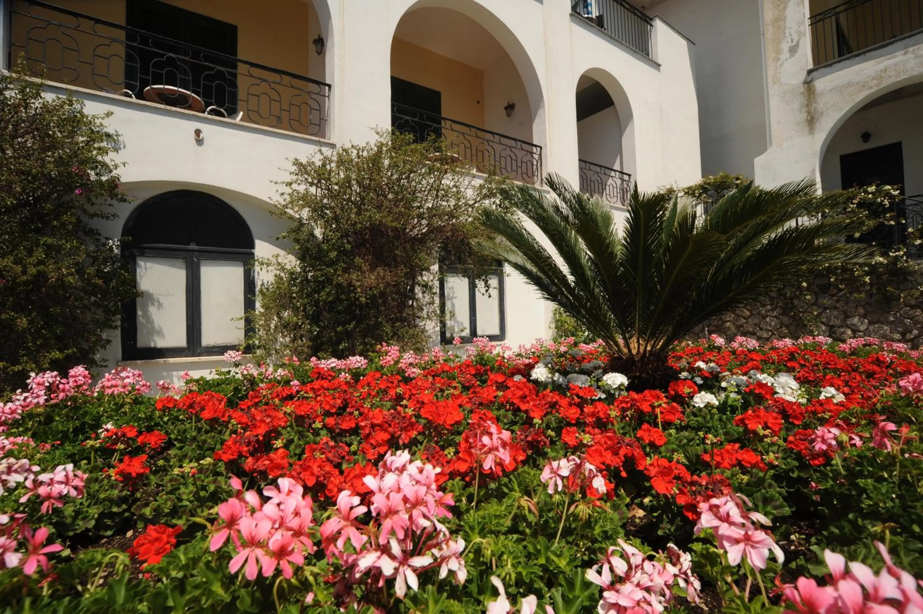 Facade/entrance in Hotel Belvedere