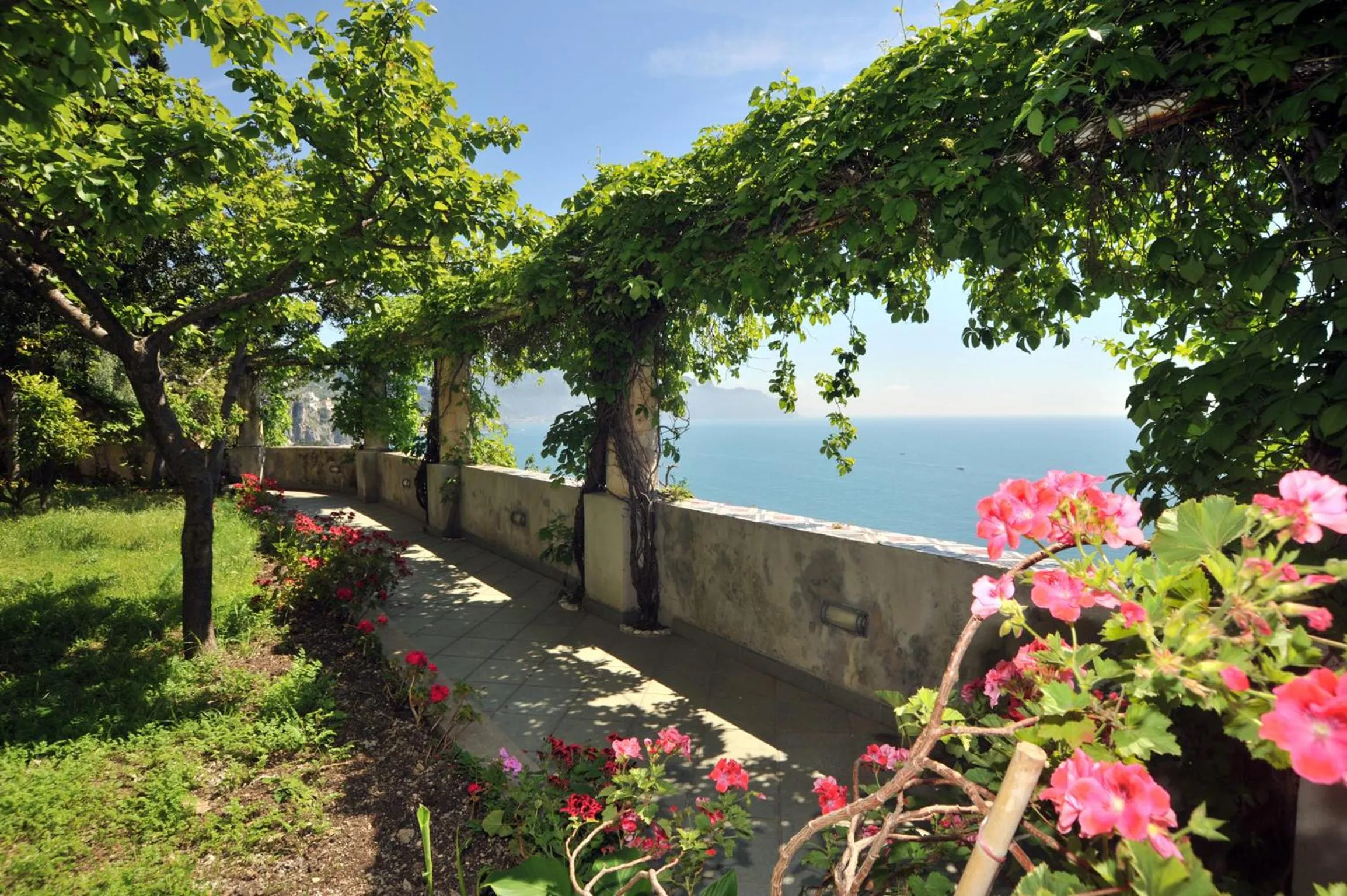 Garden in Hotel Belvedere
