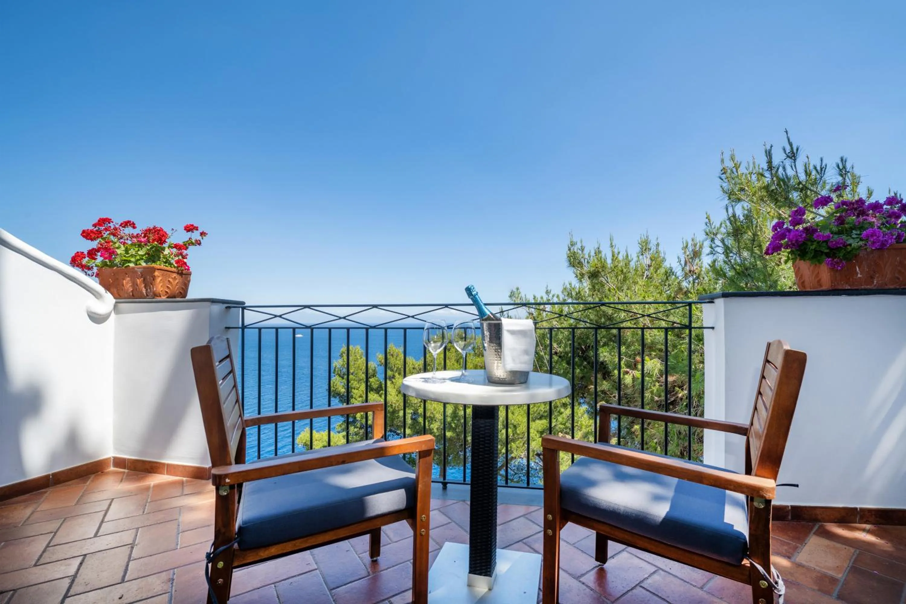 Balcony/Terrace in Hotel Belvedere