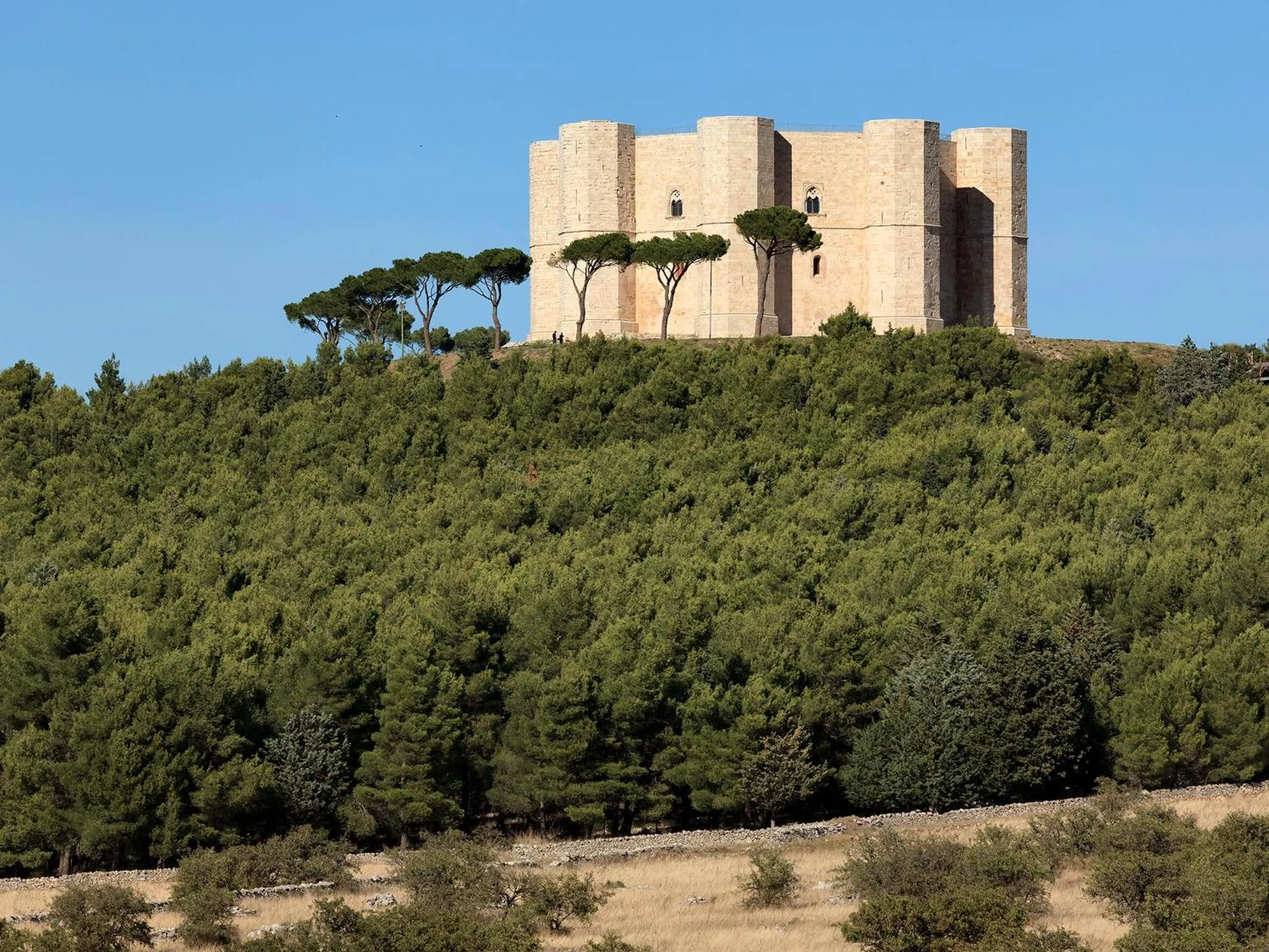 Nearby landmark in Mercure Villa Romanazzi Carducci Bari