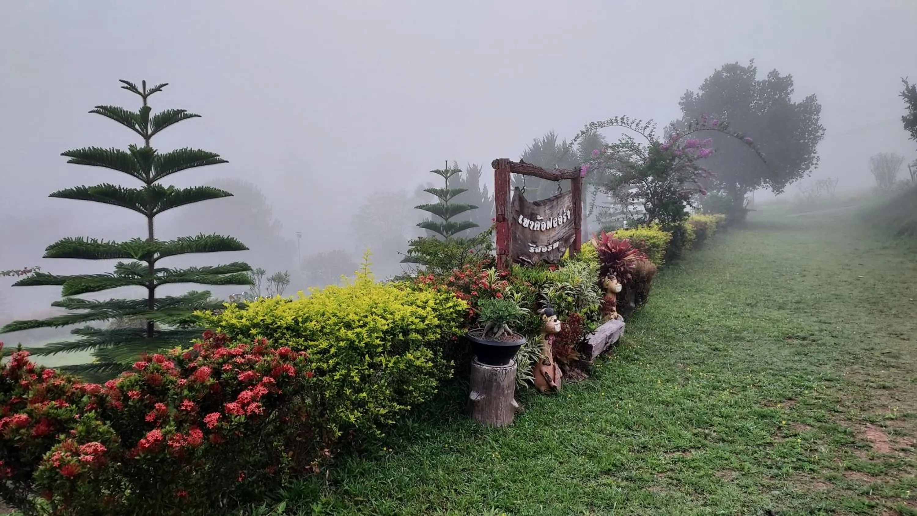 Khao Kho Flora